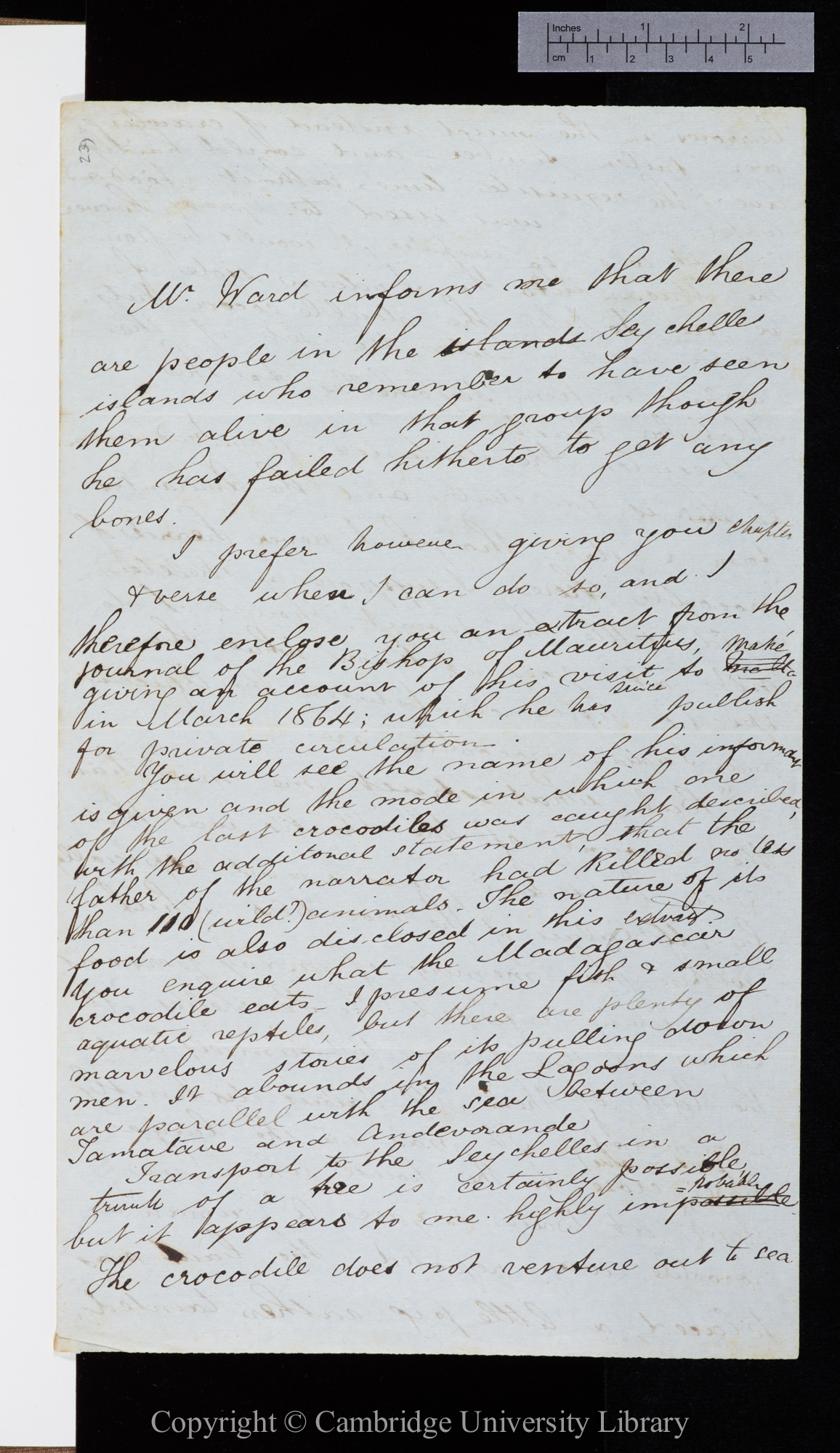 Letter from J. D. Hooker to C. R. Darwin   3 October 1868