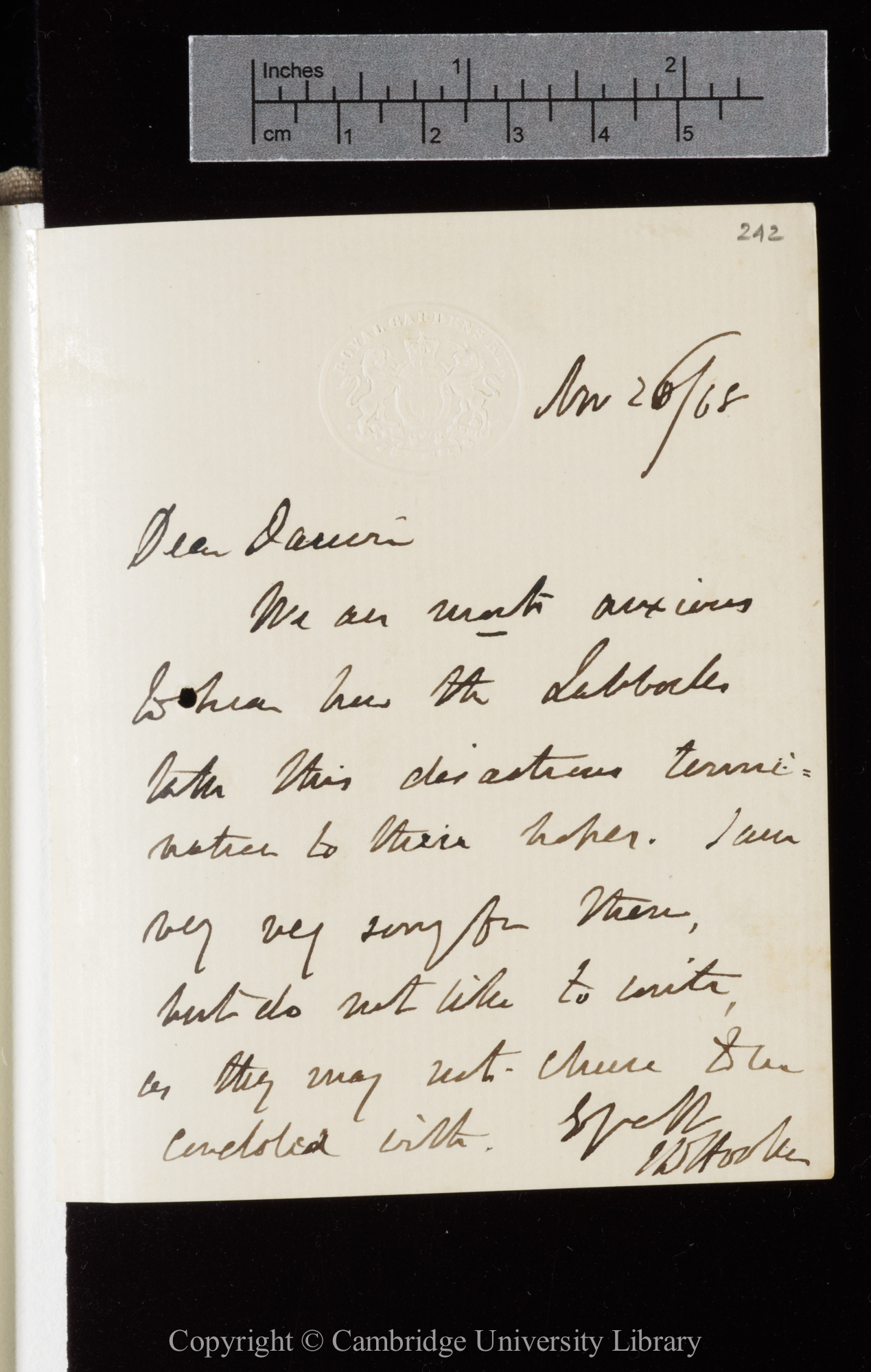 Letter from J. D. Hooker to C. R. Darwin   26 November 1868