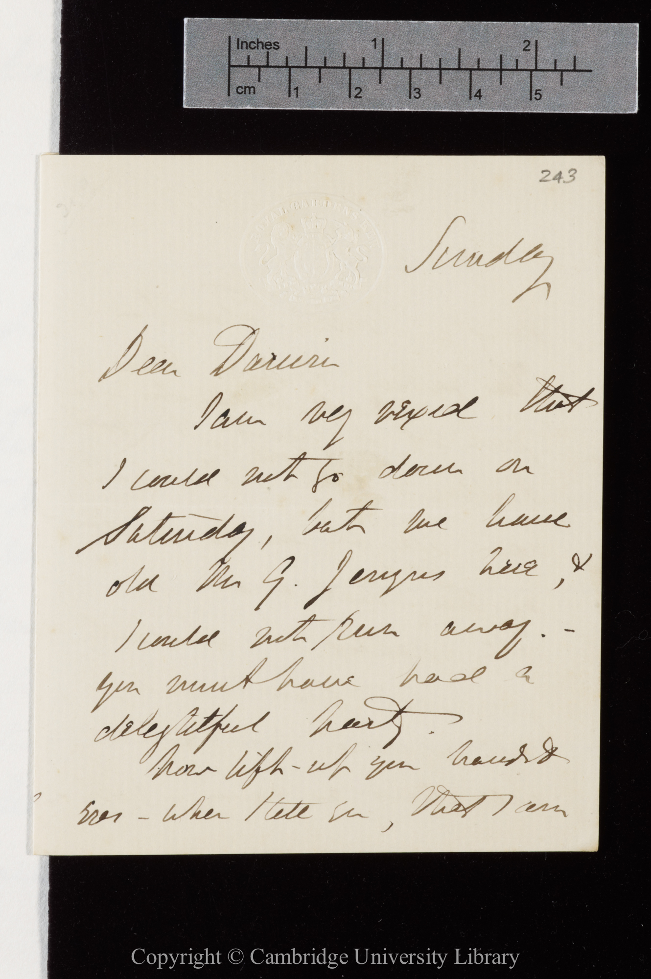 Letter from J. D. Hooker to C. R. Darwin   [28 November 1868]