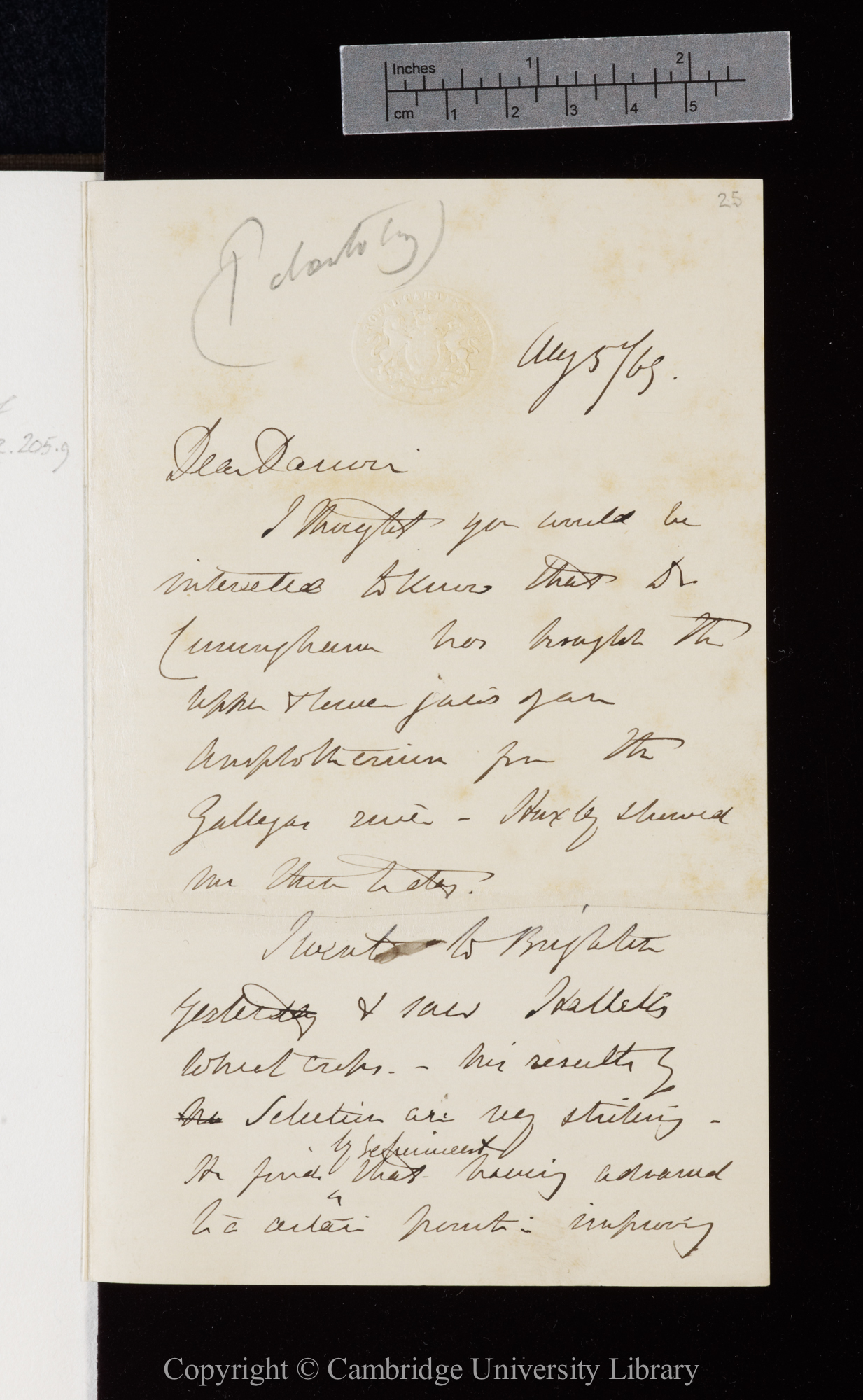 Letter from J. D. Hooker to C. R. Darwin   5 August 1869