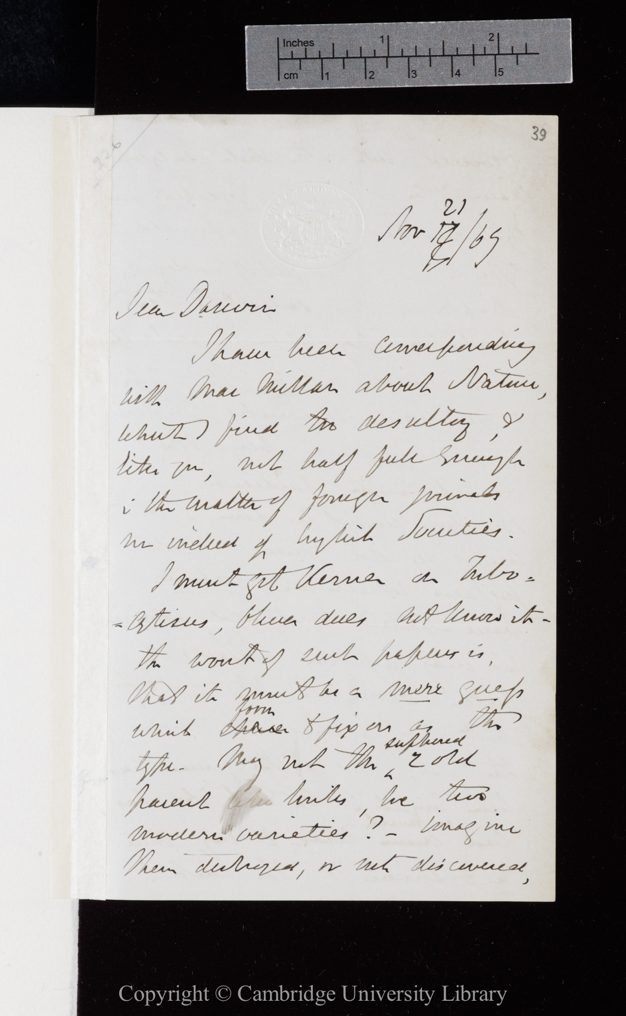 Letter from J. D. Hooker to C. R. Darwin   21 November 1869