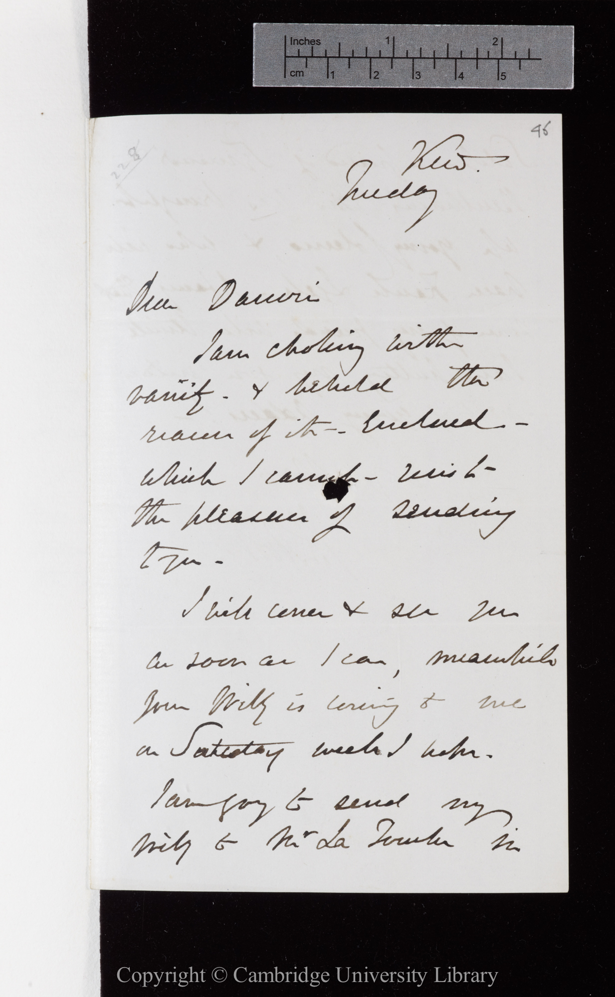 Letter from J. D. Hooker to C. R. Darwin   [31 May 1870]