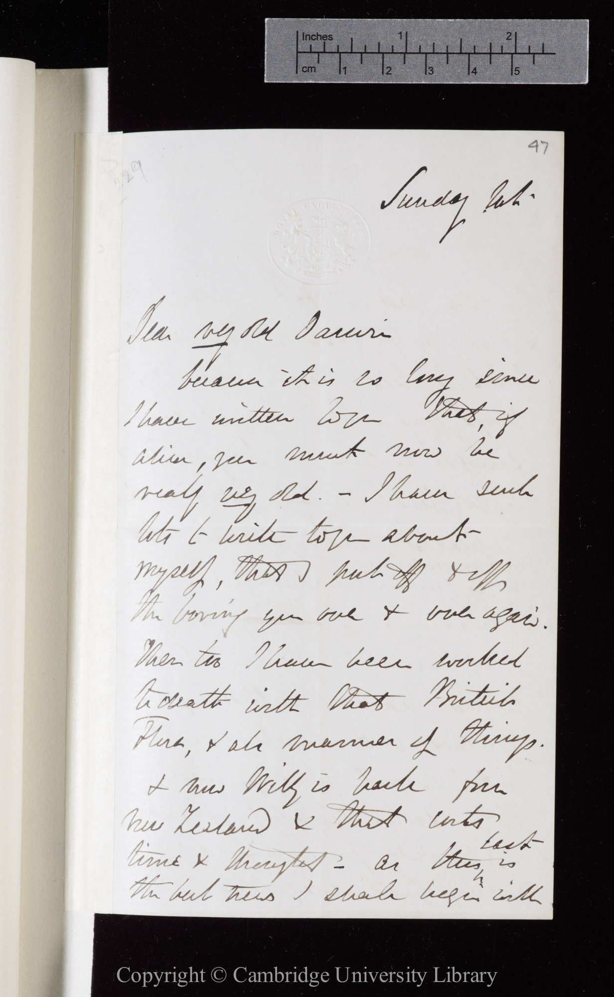 Letter from J. D. Hooker to C. R. Darwin   [22 May 1870]