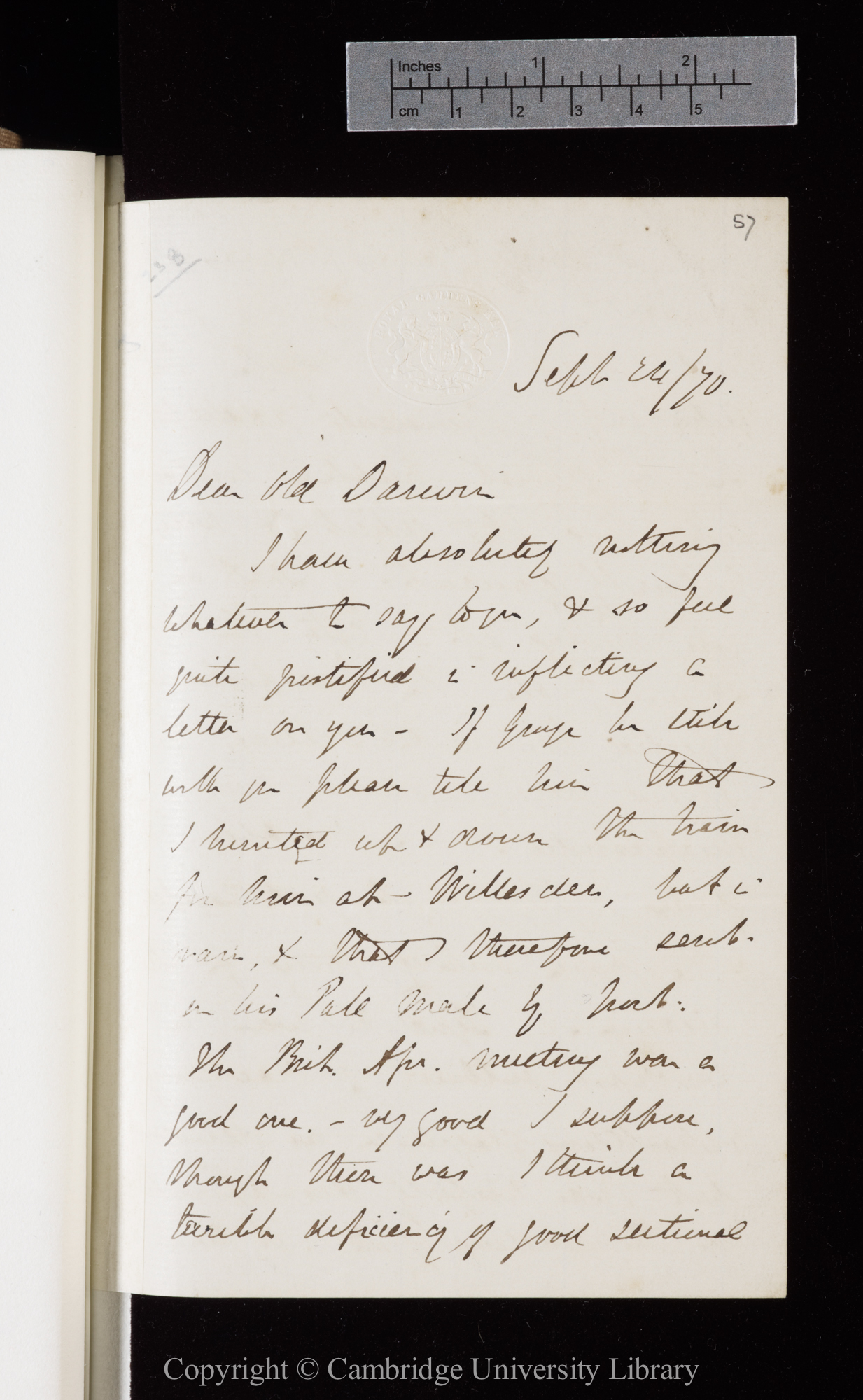 Letter from J. D. Hooker to C. R. Darwin   24 September 1870
