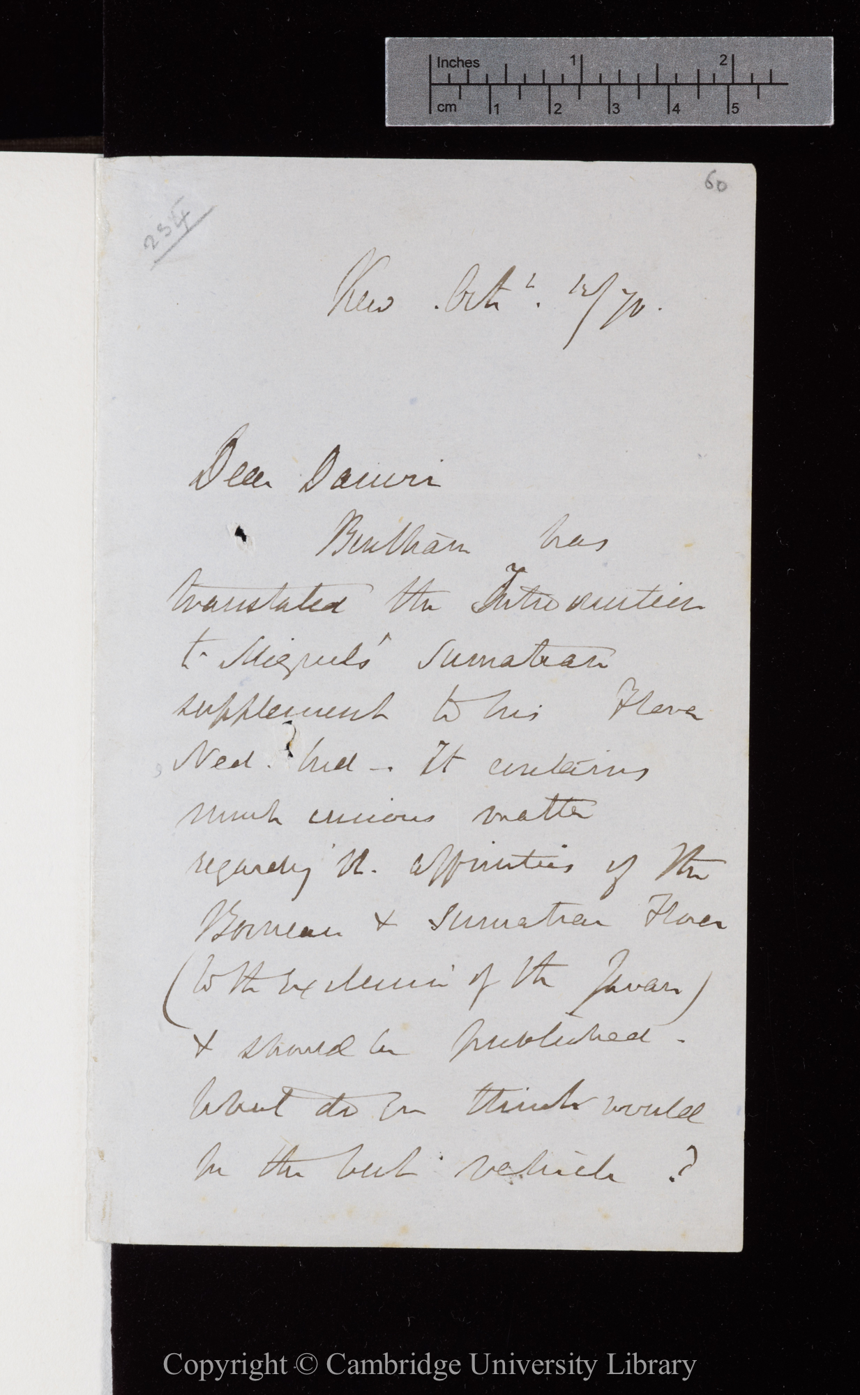 Letter from J. D. Hooker to C. R. Darwin   12 October 1870