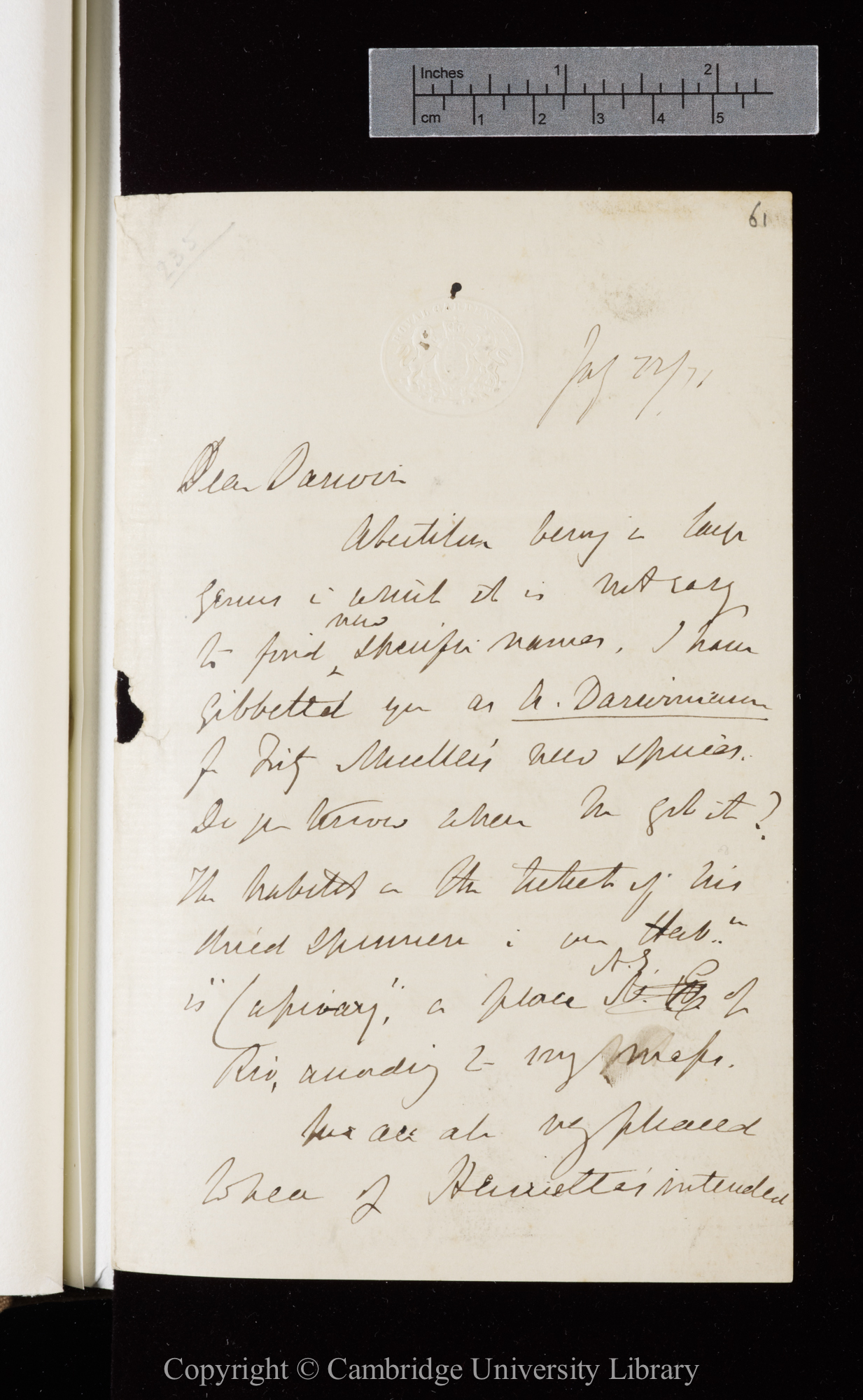 Letter from J. D. Hooker to C. R. Darwin   22 July 1871
