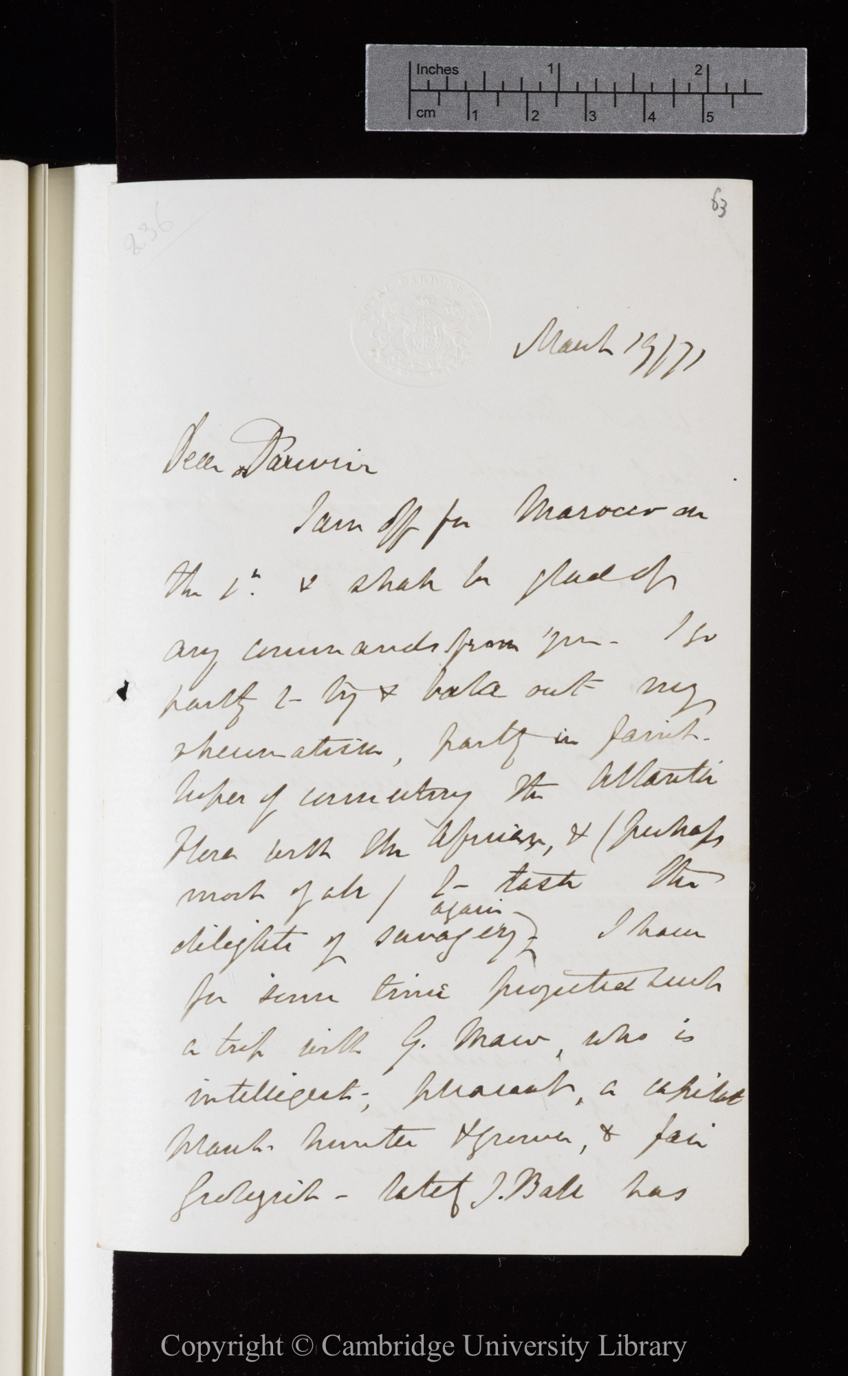 Letter from J. D. Hooker to C. R. Darwin   19 March 1871