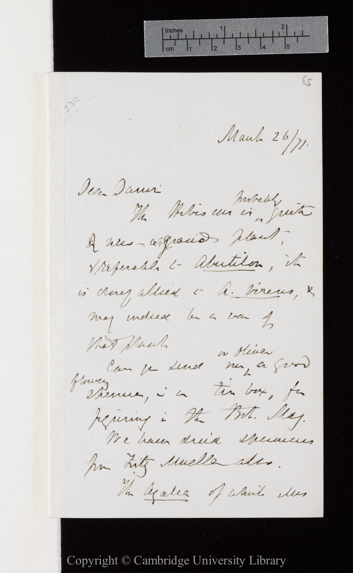 Letter from J. D. Hooker to C. R. Darwin   26 March 1871