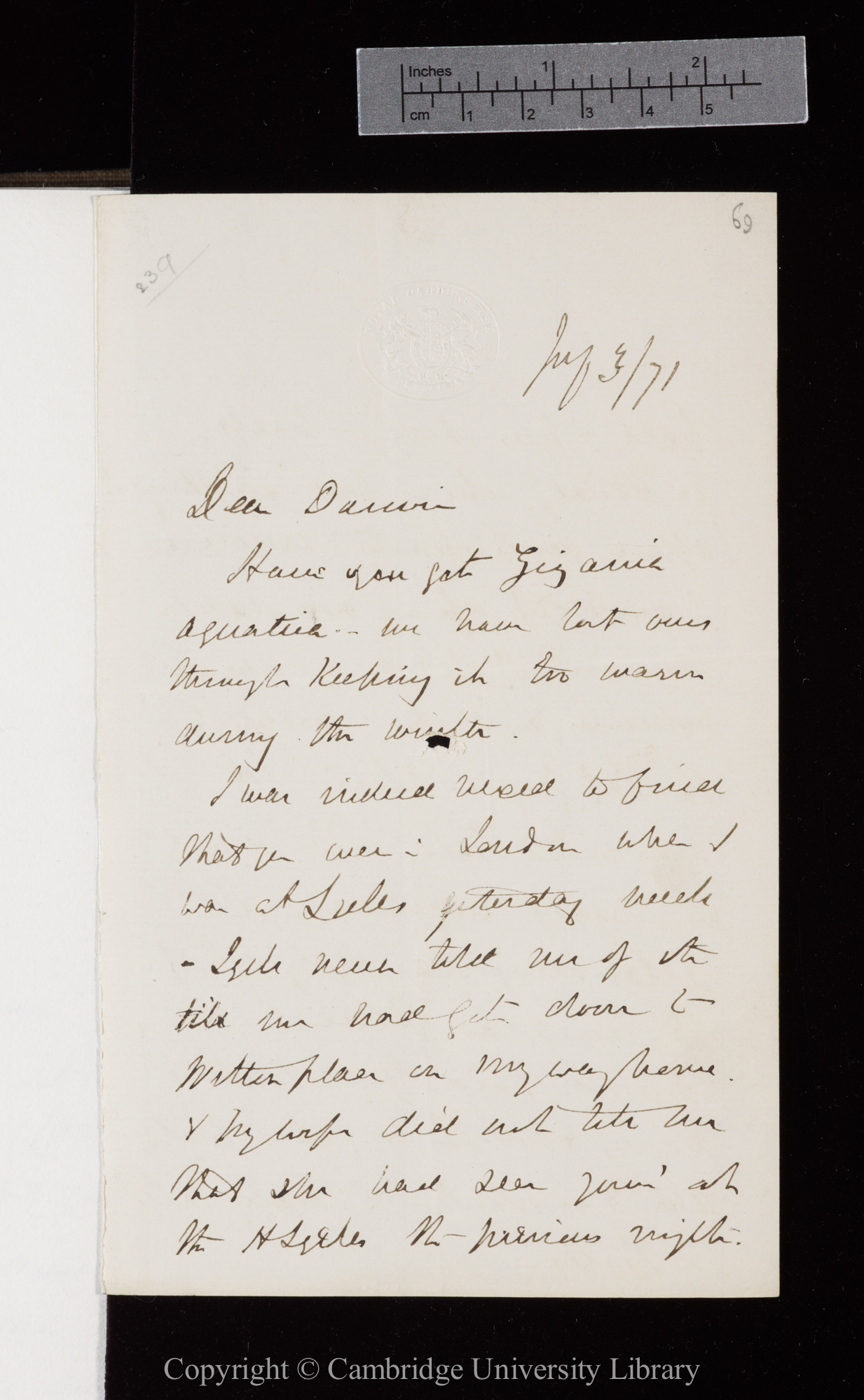 Letter from J. D. Hooker to C. R. Darwin   3 July 1871
