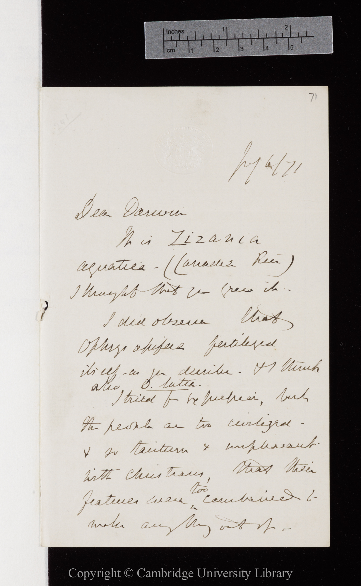 Letter from J. D. Hooker to C. R. Darwin   6 July 1871