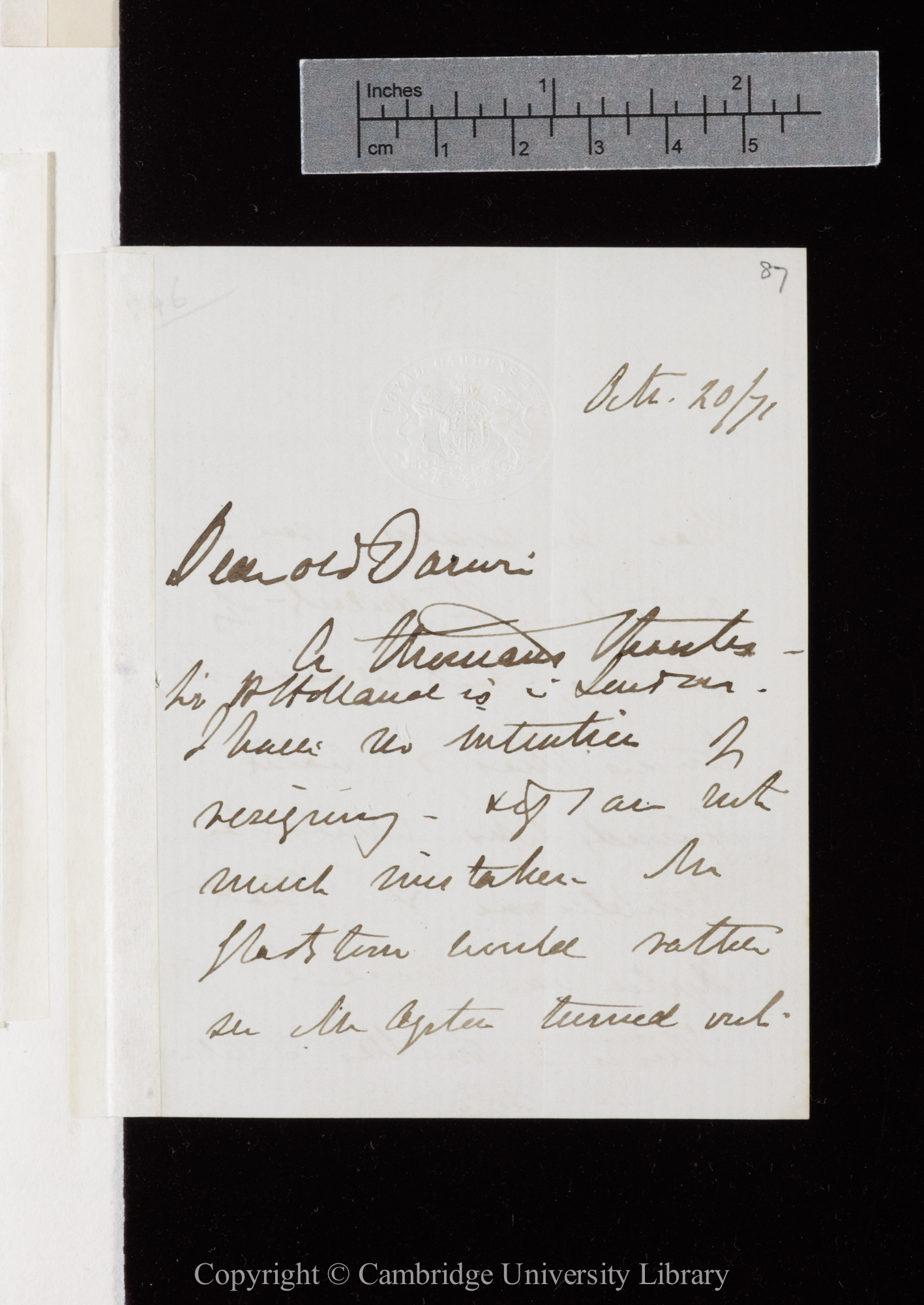 Letter from J. D. Hooker to C. R. Darwin   20 October 1871