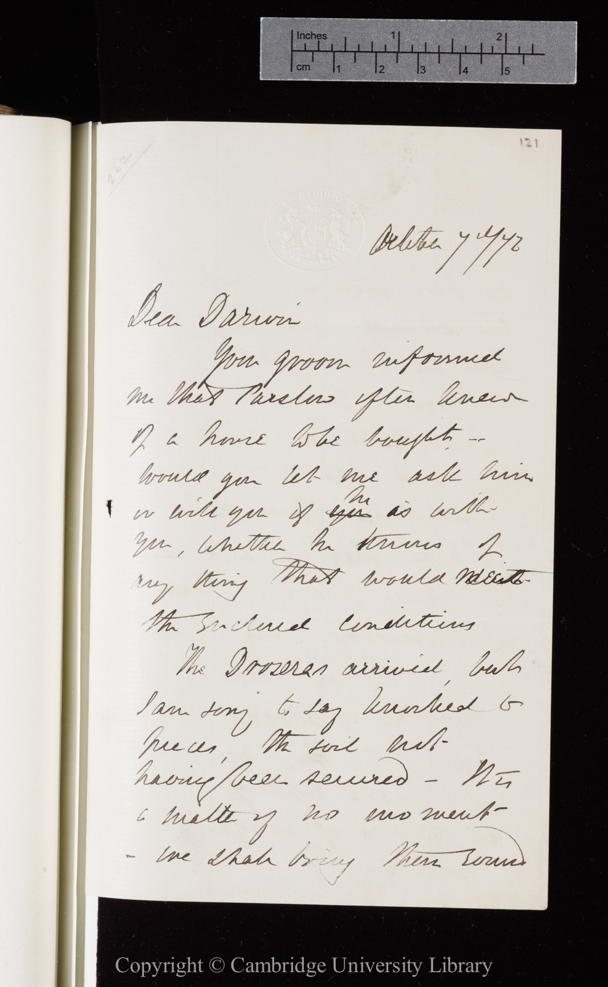 Letter from J. D. Hooker to C. R. Darwin   7 October 1872