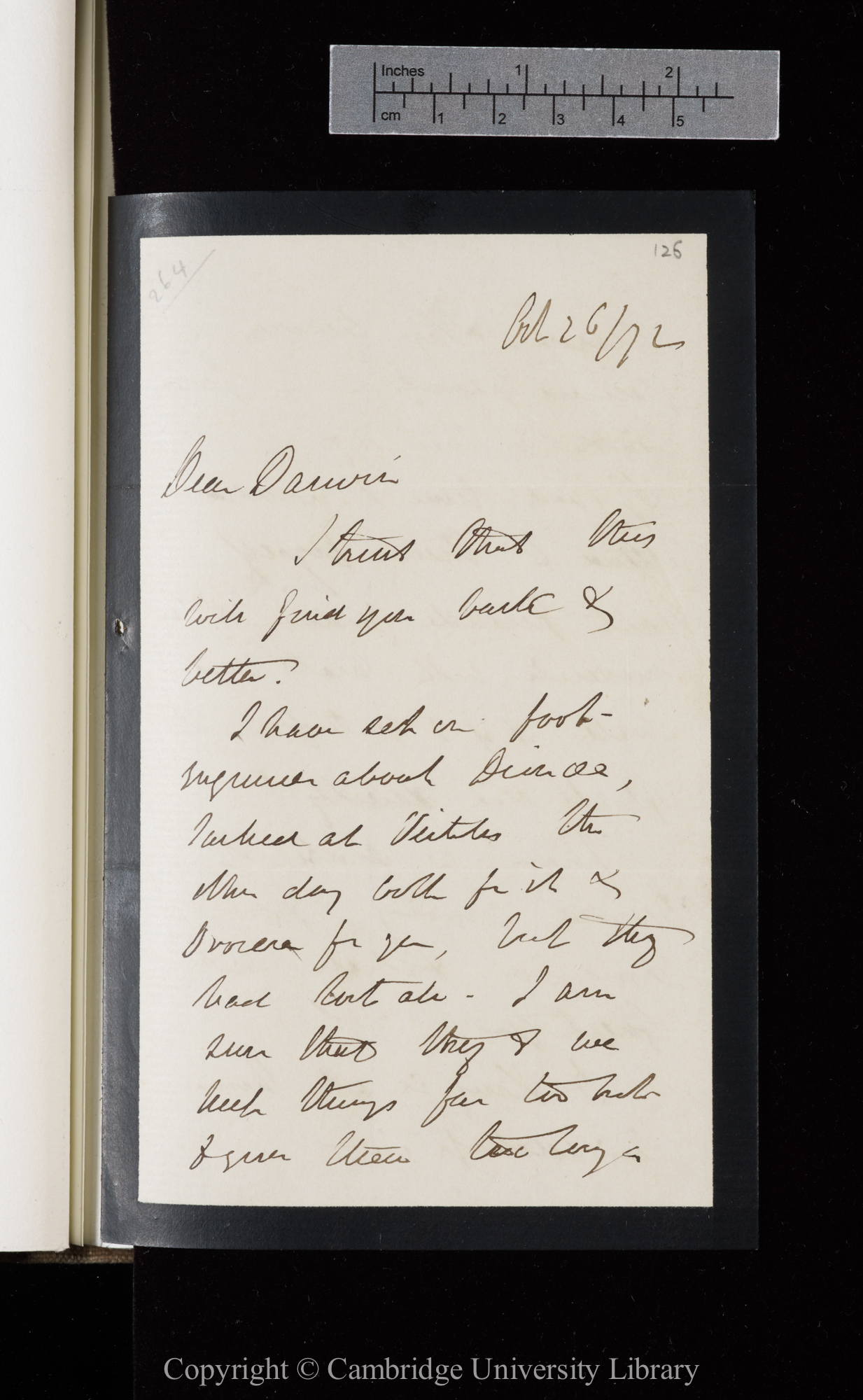Letter from J. D. Hooker to C. R. Darwin   26 October 1872