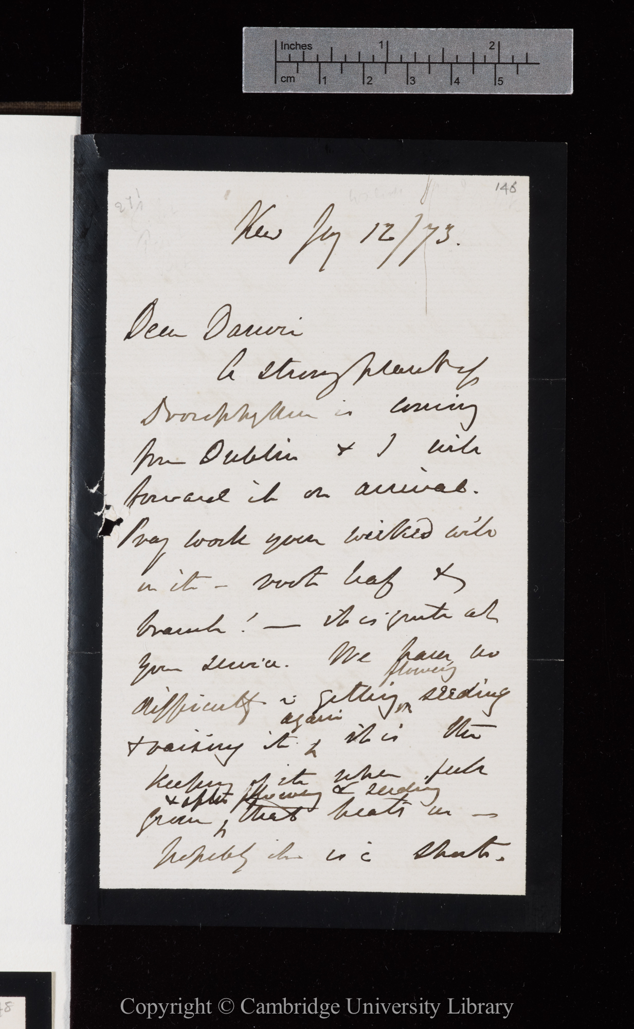 Letter from J. D. Hooker to C. R. Darwin   12 January 1873