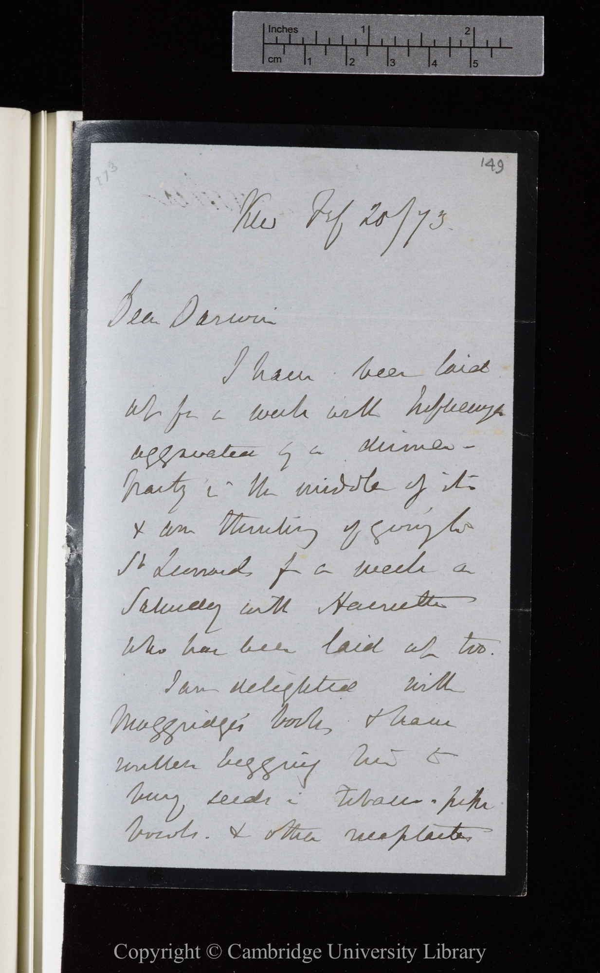 Letter from J. D. Hooker to C. R. Darwin   20 February 1873