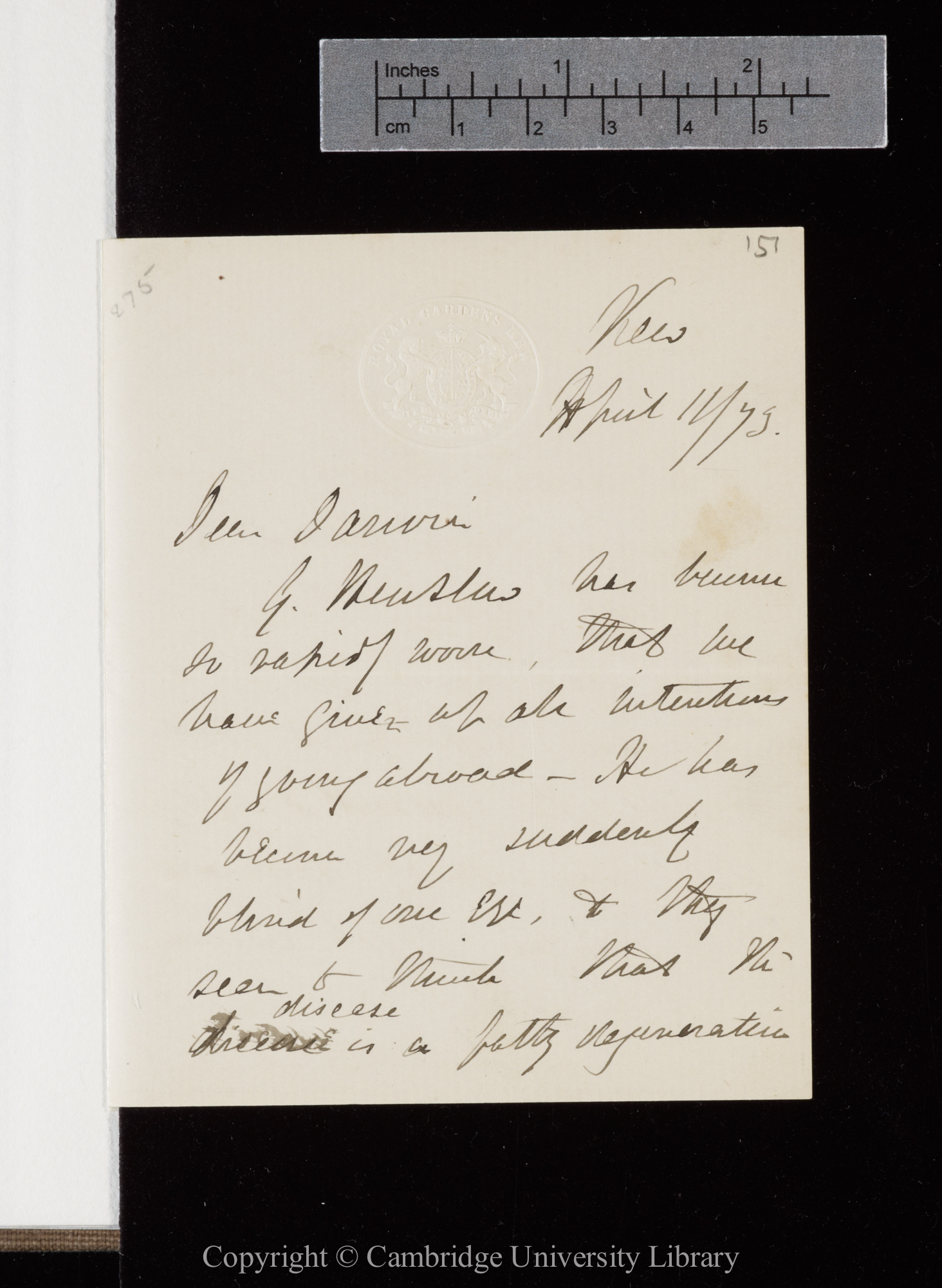 Letter from J. D. Hooker to C. R. Darwin   11 April 1873