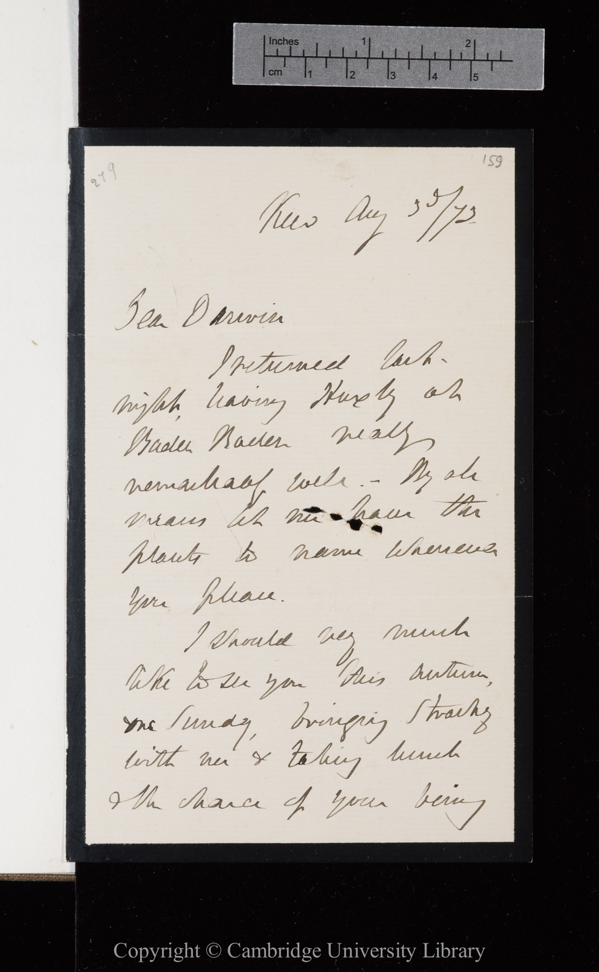 Letter from J. D. Hooker to C. R. Darwin   3 August 1873