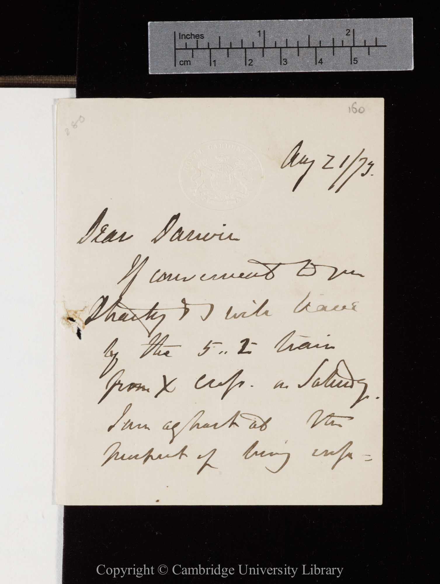 Letter from J. D. Hooker to C. R. Darwin   21 August 1873