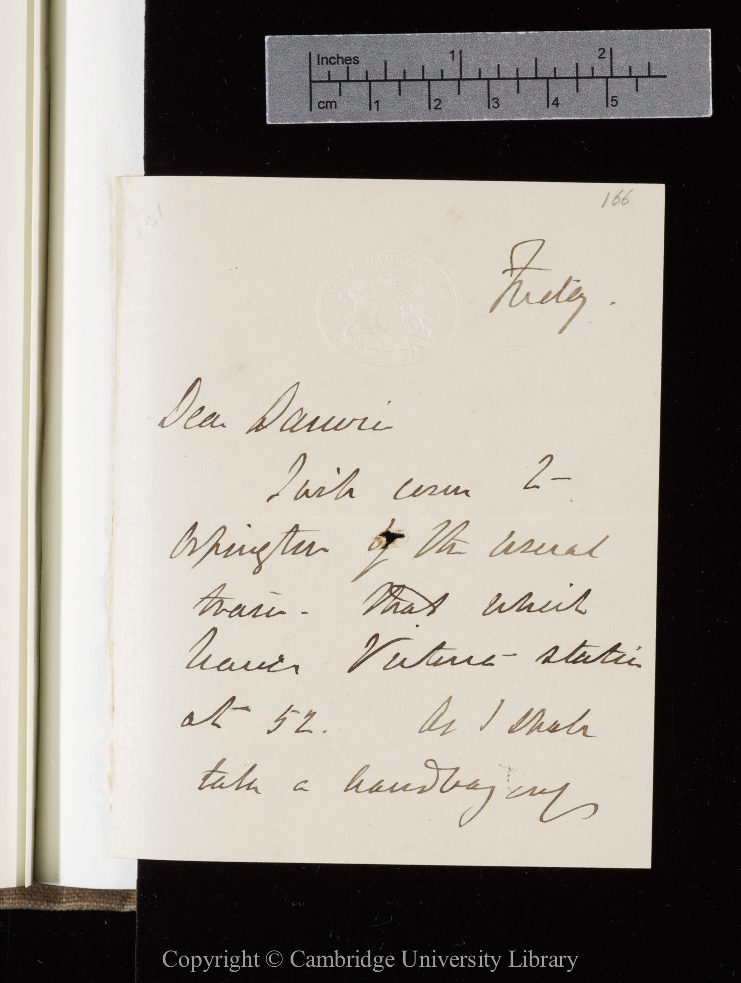 Letter from J. D. Hooker to C. R. Darwin   [22 August 1873]