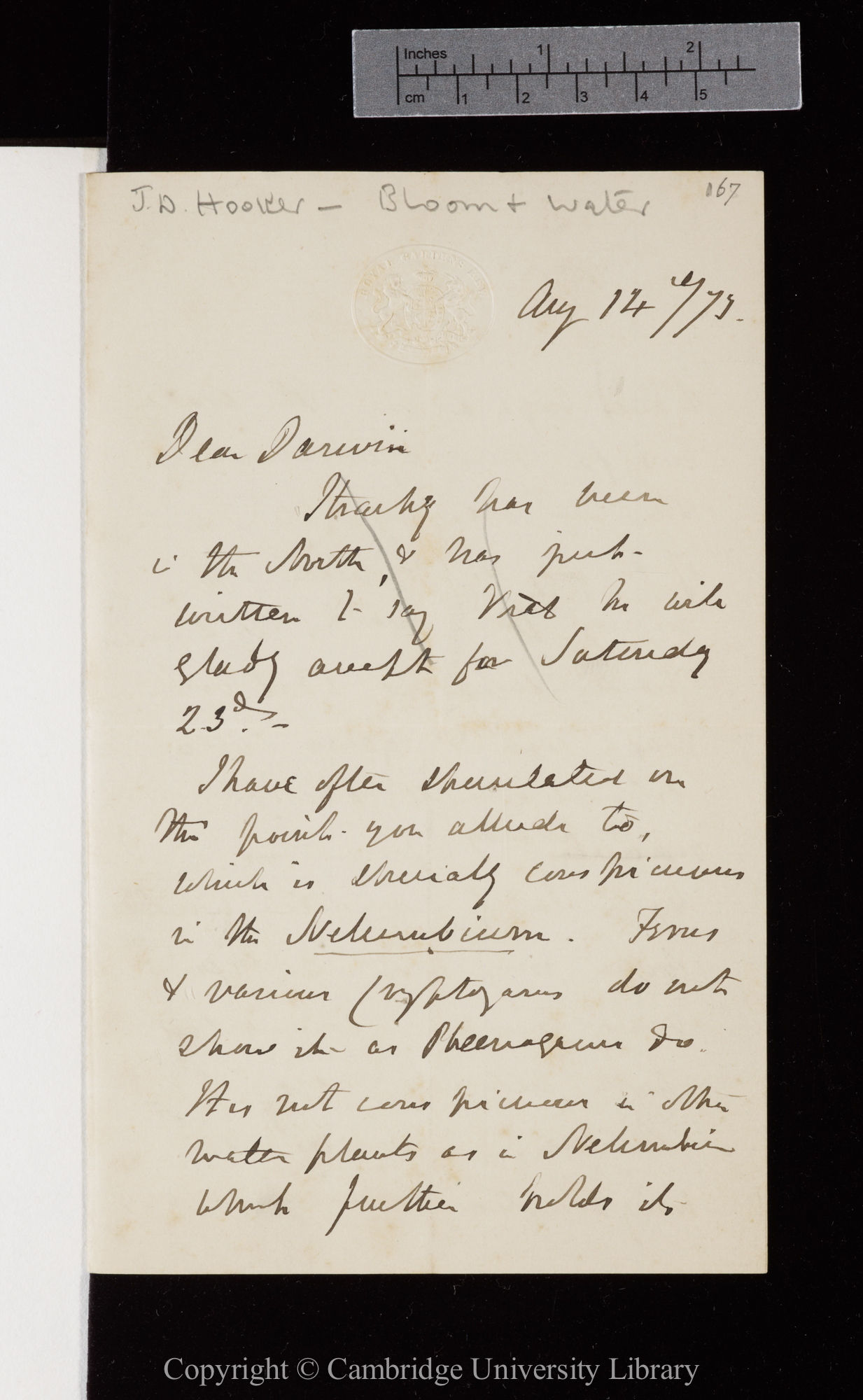 Letter from J. D. Hooker to C. R. Darwin   14 August 1873