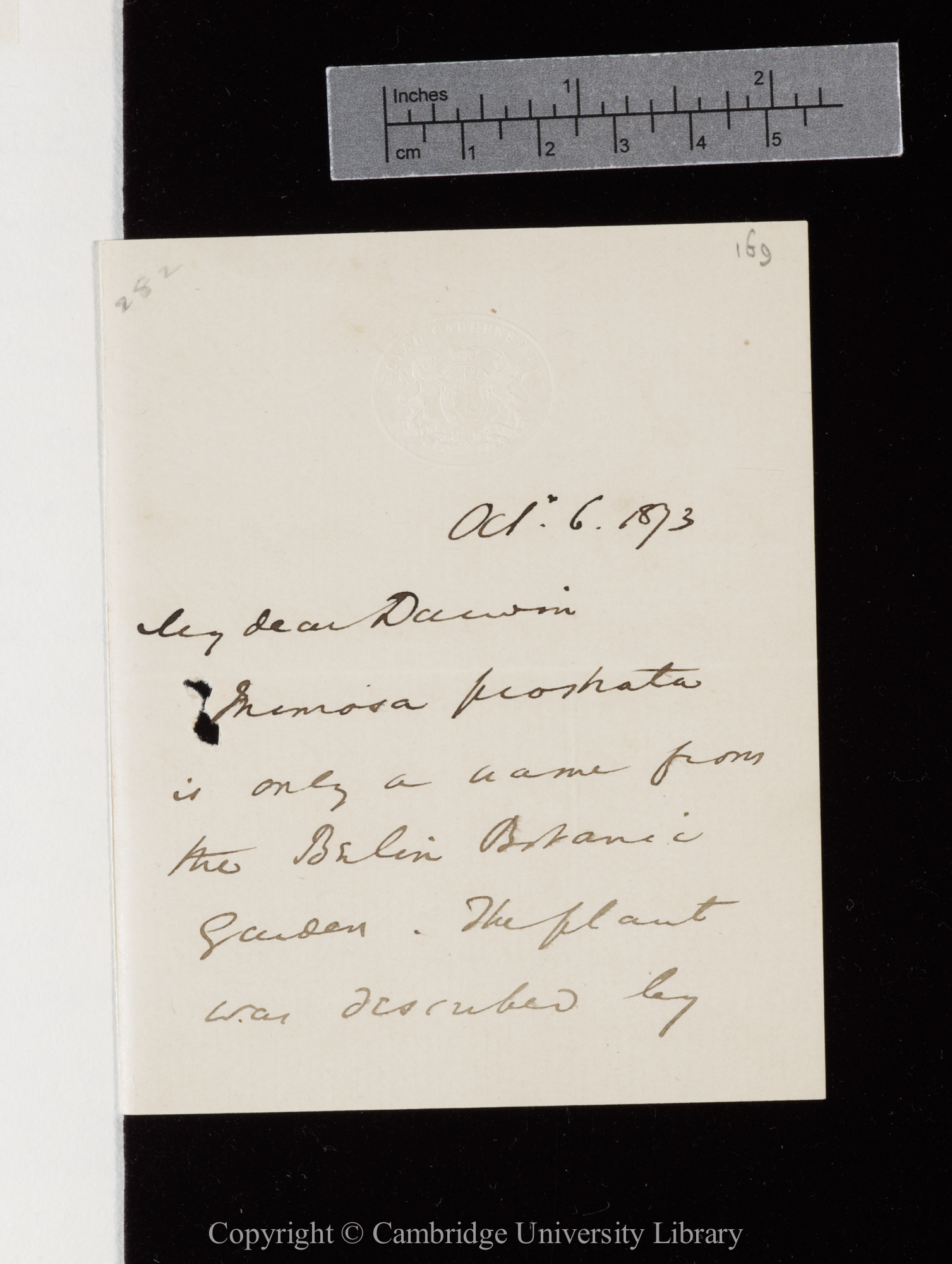 Letter from J. D. Hooker to C. R. Darwin   6 October 1873