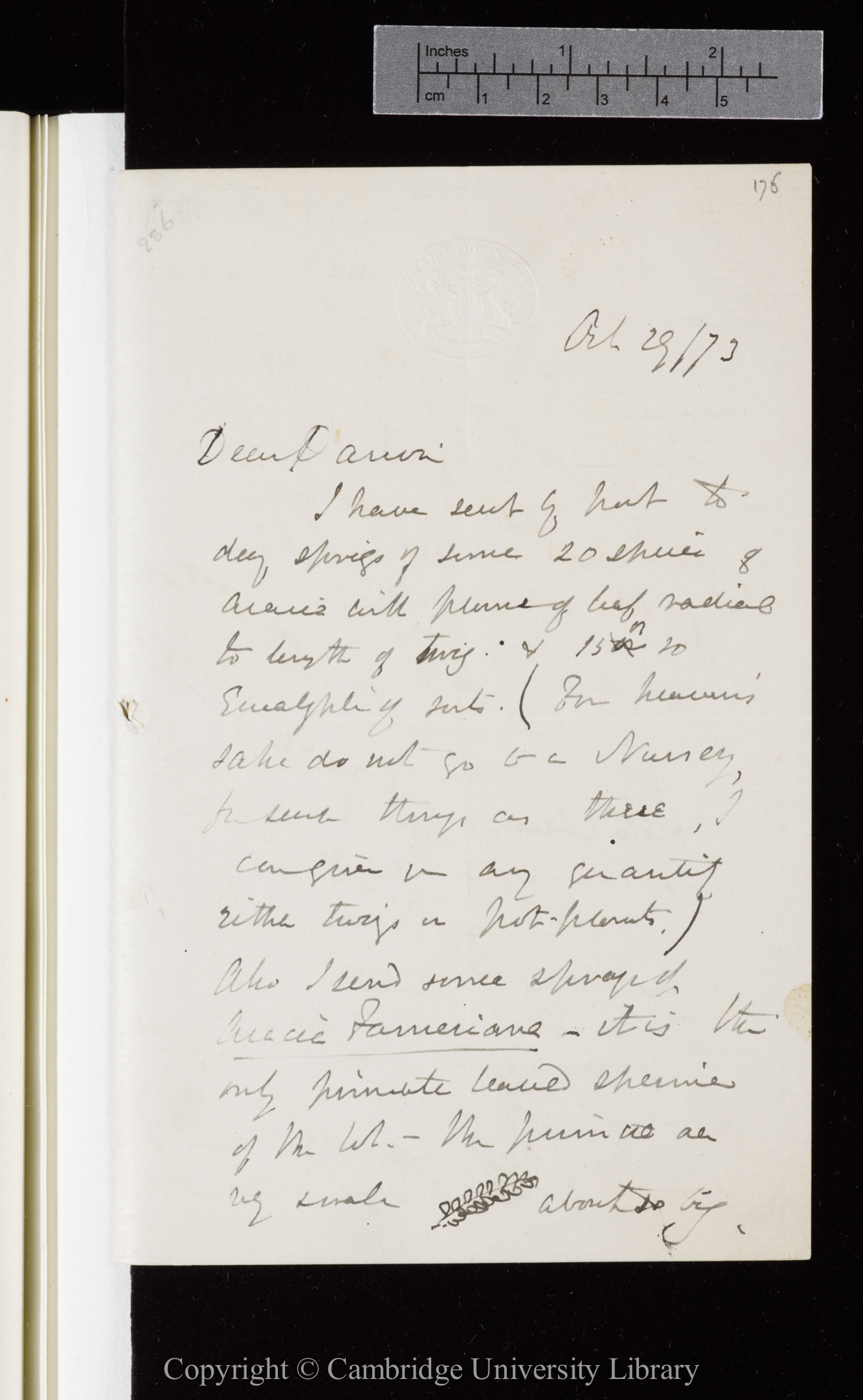 Letter from J. D. Hooker to C. R. Darwin   29 October 1873