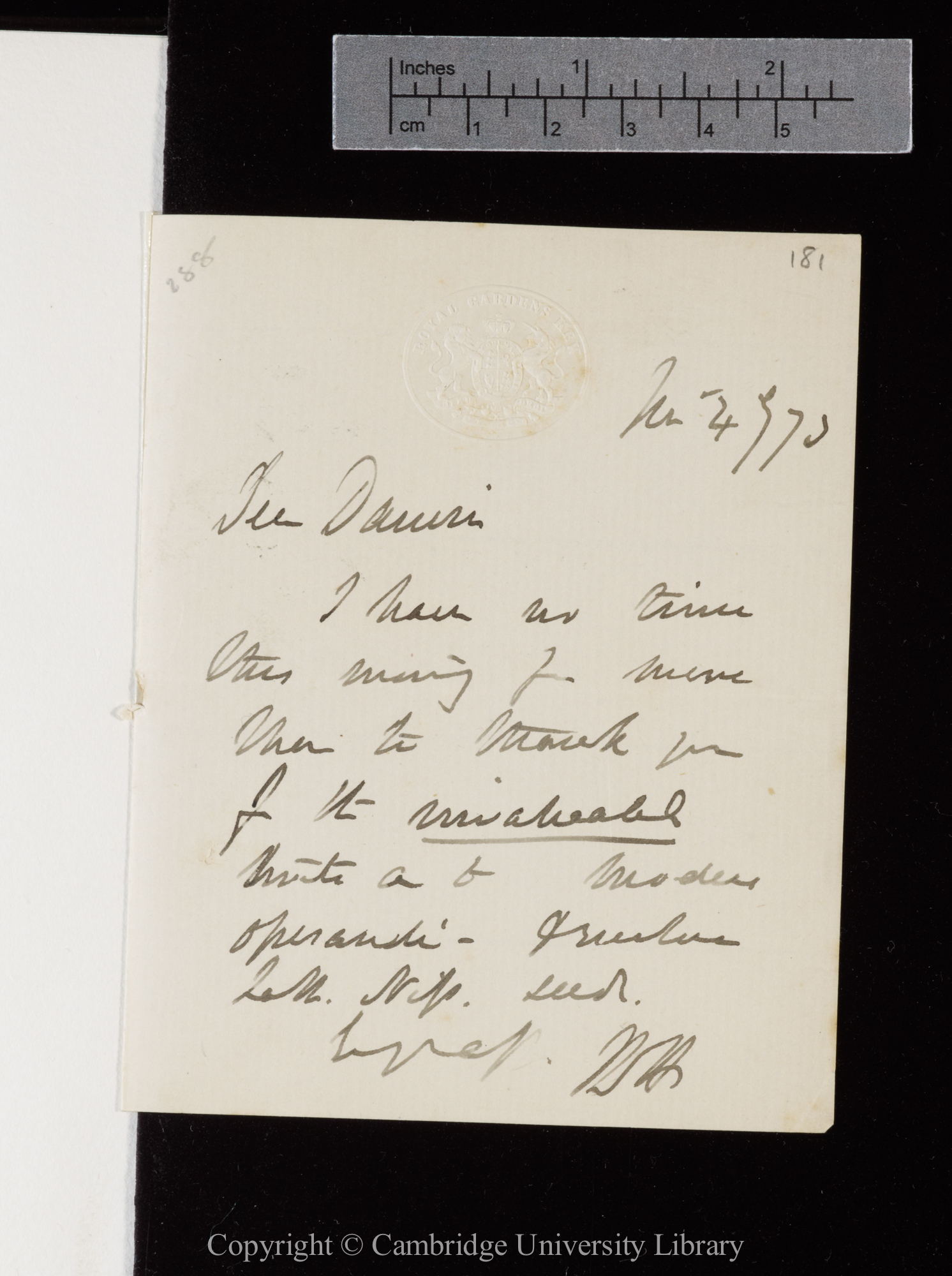 Letter from J. D. Hooker to C. R. Darwin   4 November 1873