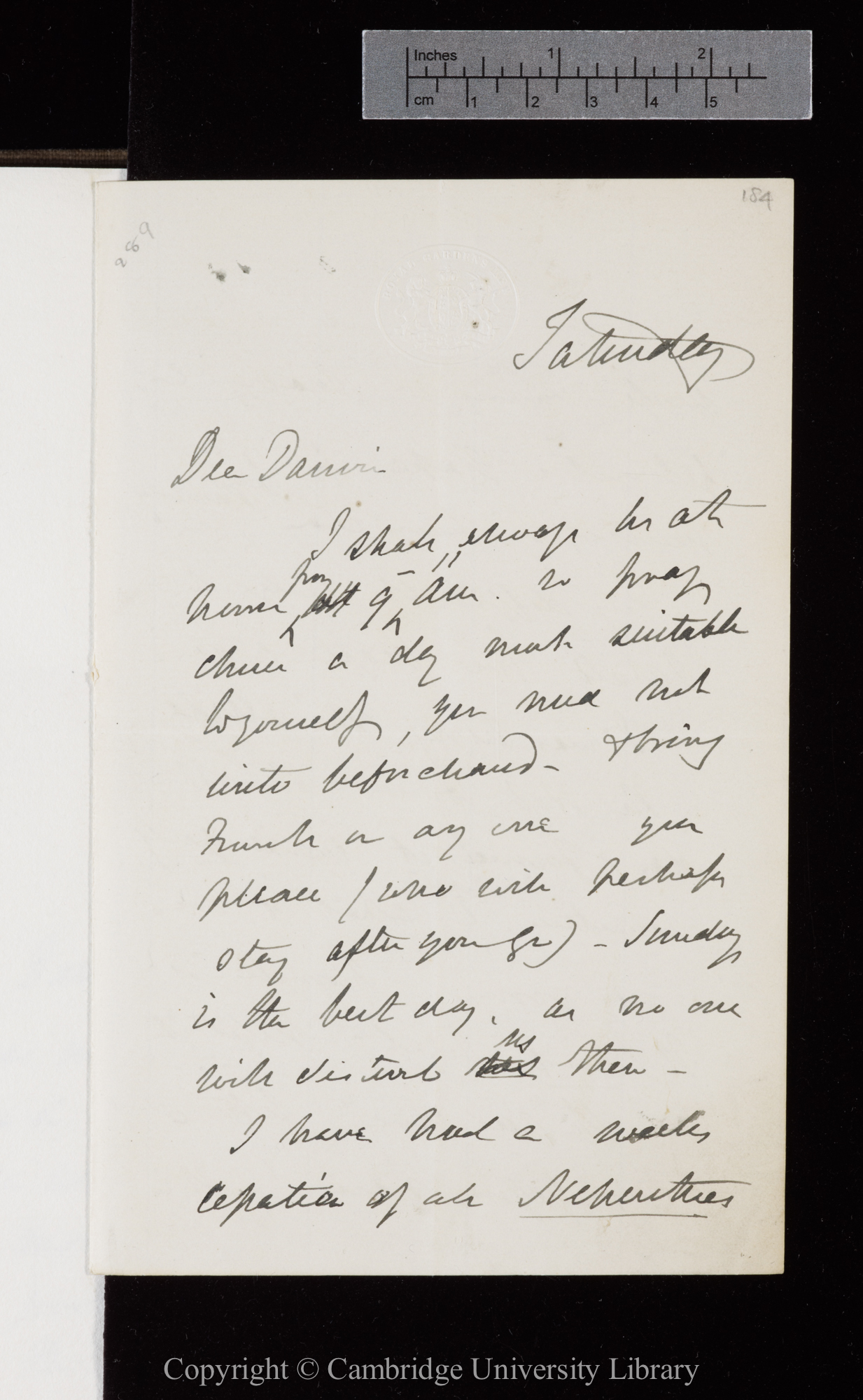 Letter from J. D. Hooker to C. R. Darwin   [8 November 1873]