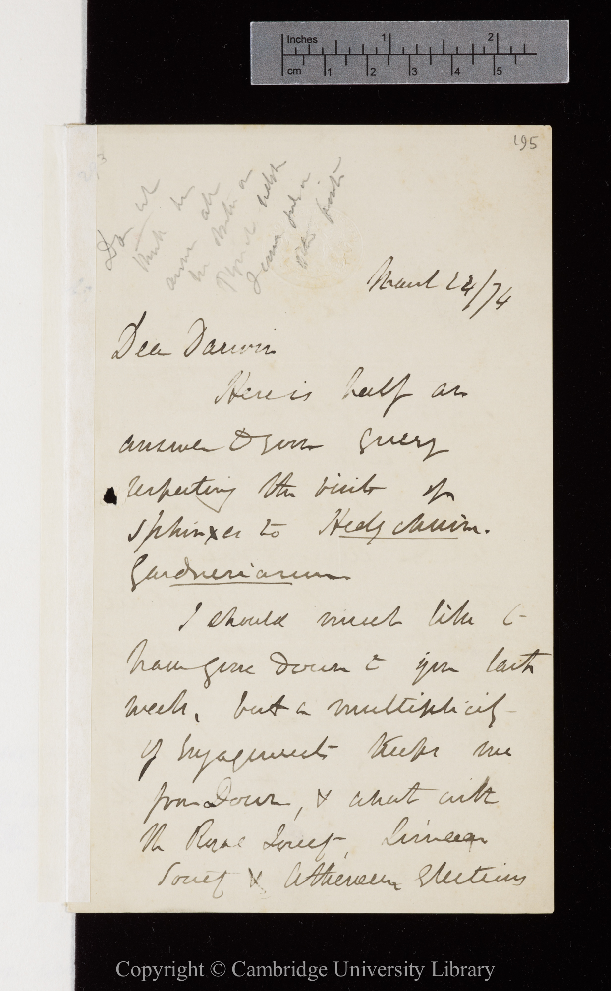Letter from J. D. Hooker to C. R. Darwin   24 March 1874