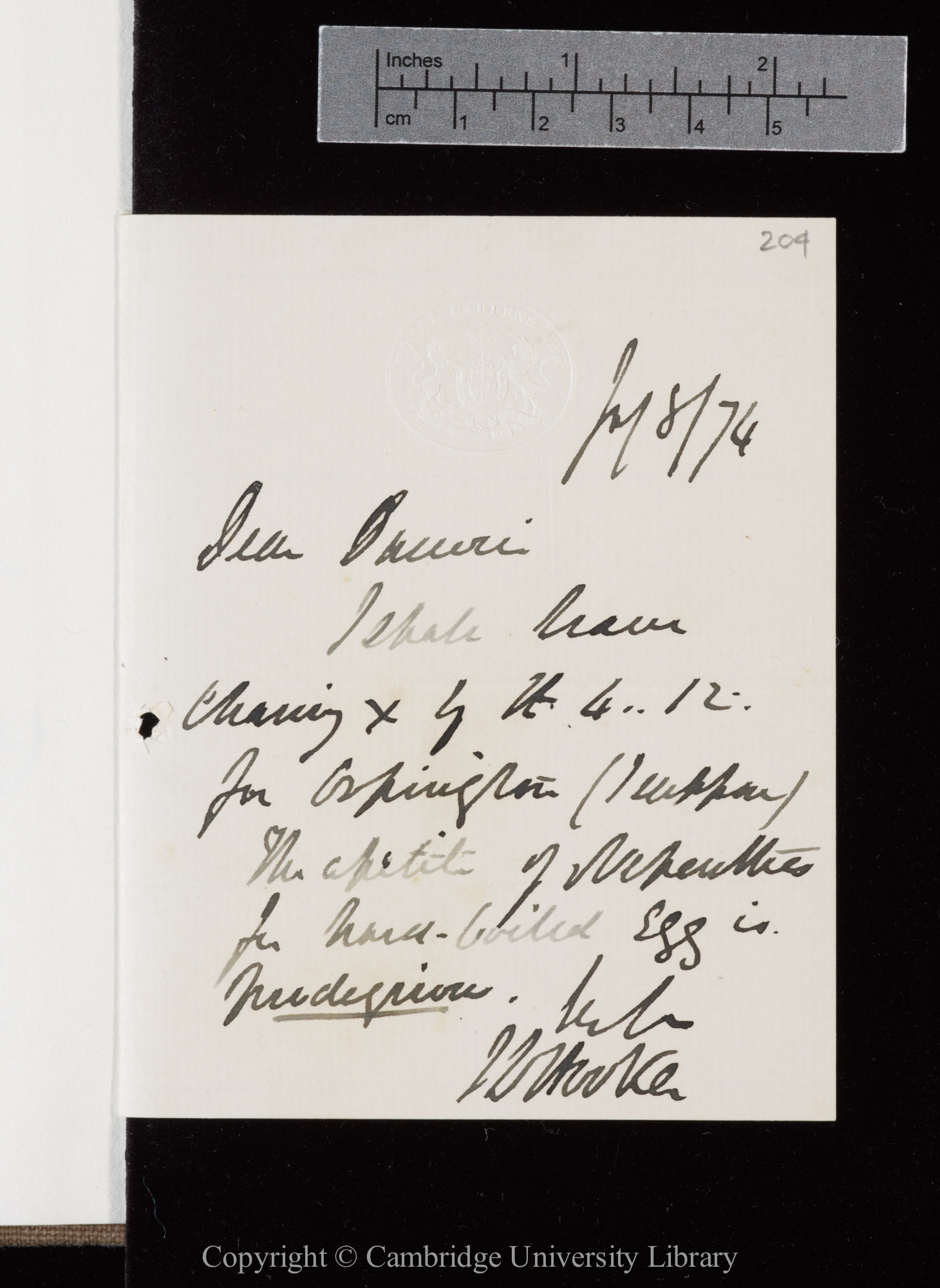 Letter from J. D. Hooker to C. R. Darwin   8 July 1874