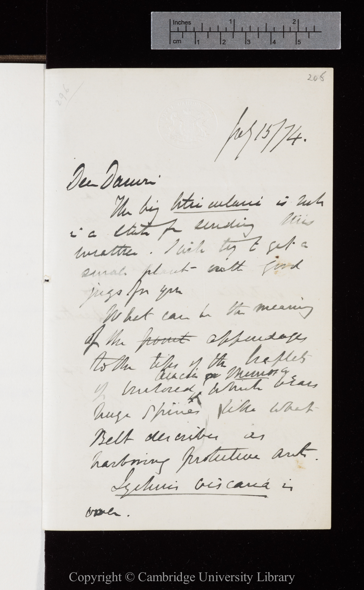 Letter from J. D. Hooker to C. R. Darwin   15 July 1874