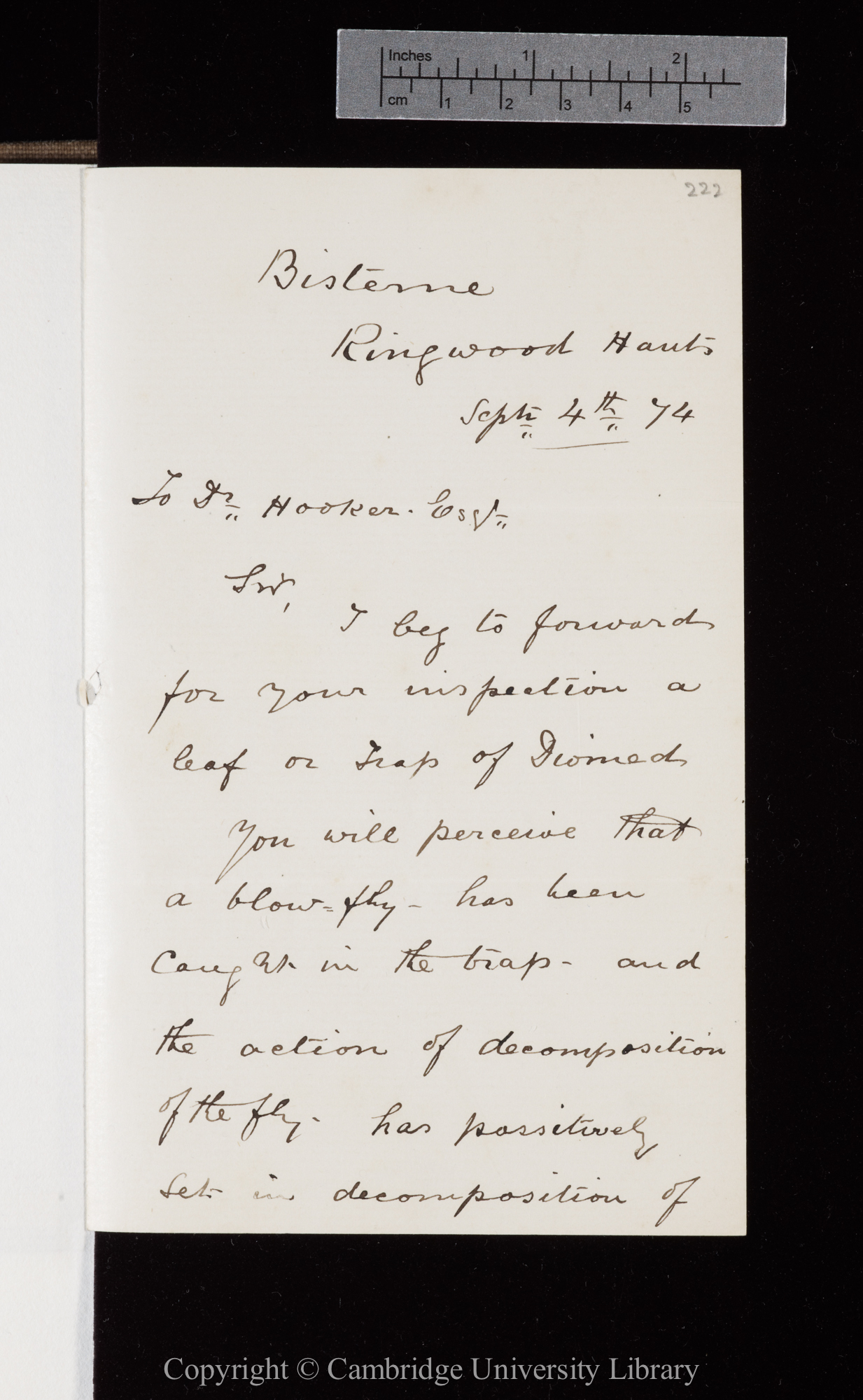 Letter from J. D. Hooker to C. R. Darwin   [after 4 September 1874]