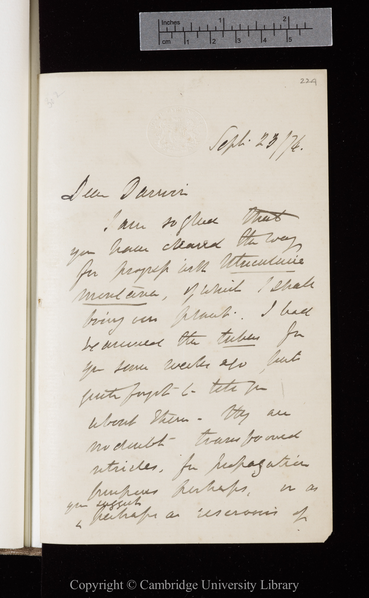 Letter from J. D. Hooker to C. R. Darwin   23 September 1874