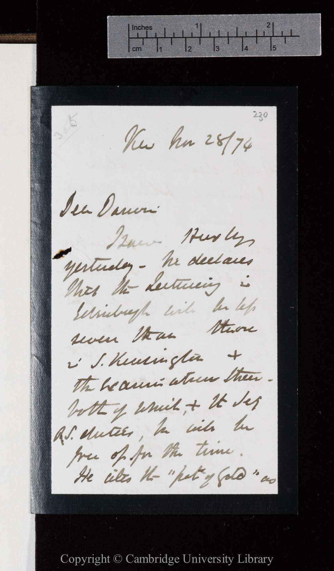 Letter from J. D. Hooker to C. R. Darwin   28 November 1874