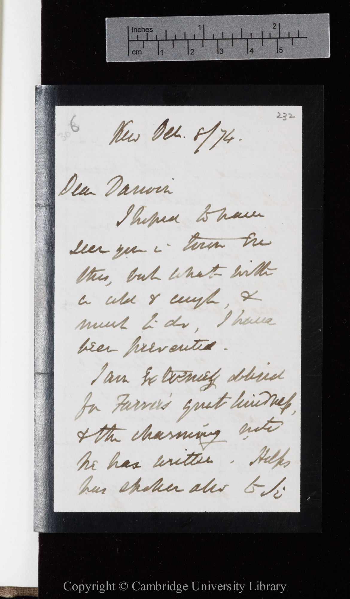 Letter from J. D. Hooker to C. R. Darwin   8 December 1874
