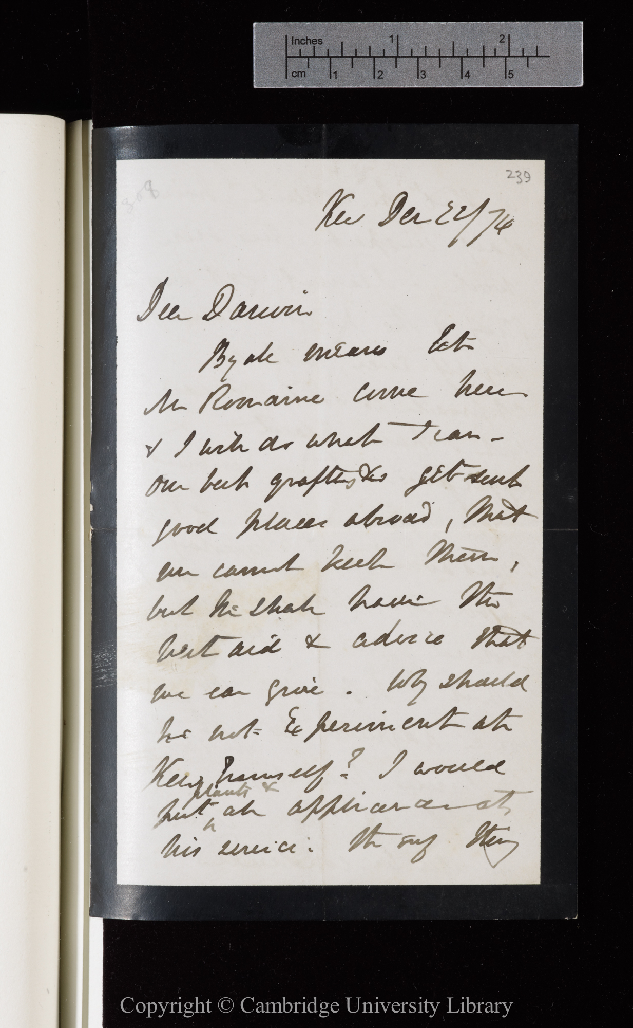 Letter from J. D. Hooker to C. R. Darwin   22 December 1874