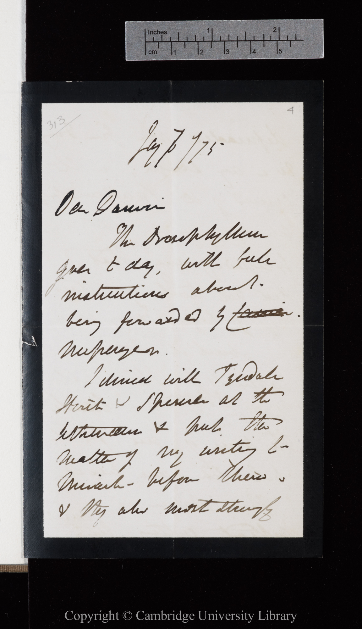 Letter from J. D. Hooker to C. R. Darwin   7 January 1875