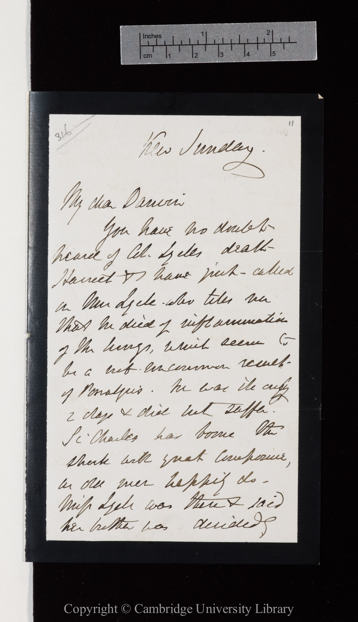 Letter from J. D. Hooker to C. R. Darwin   [7 February 1875]