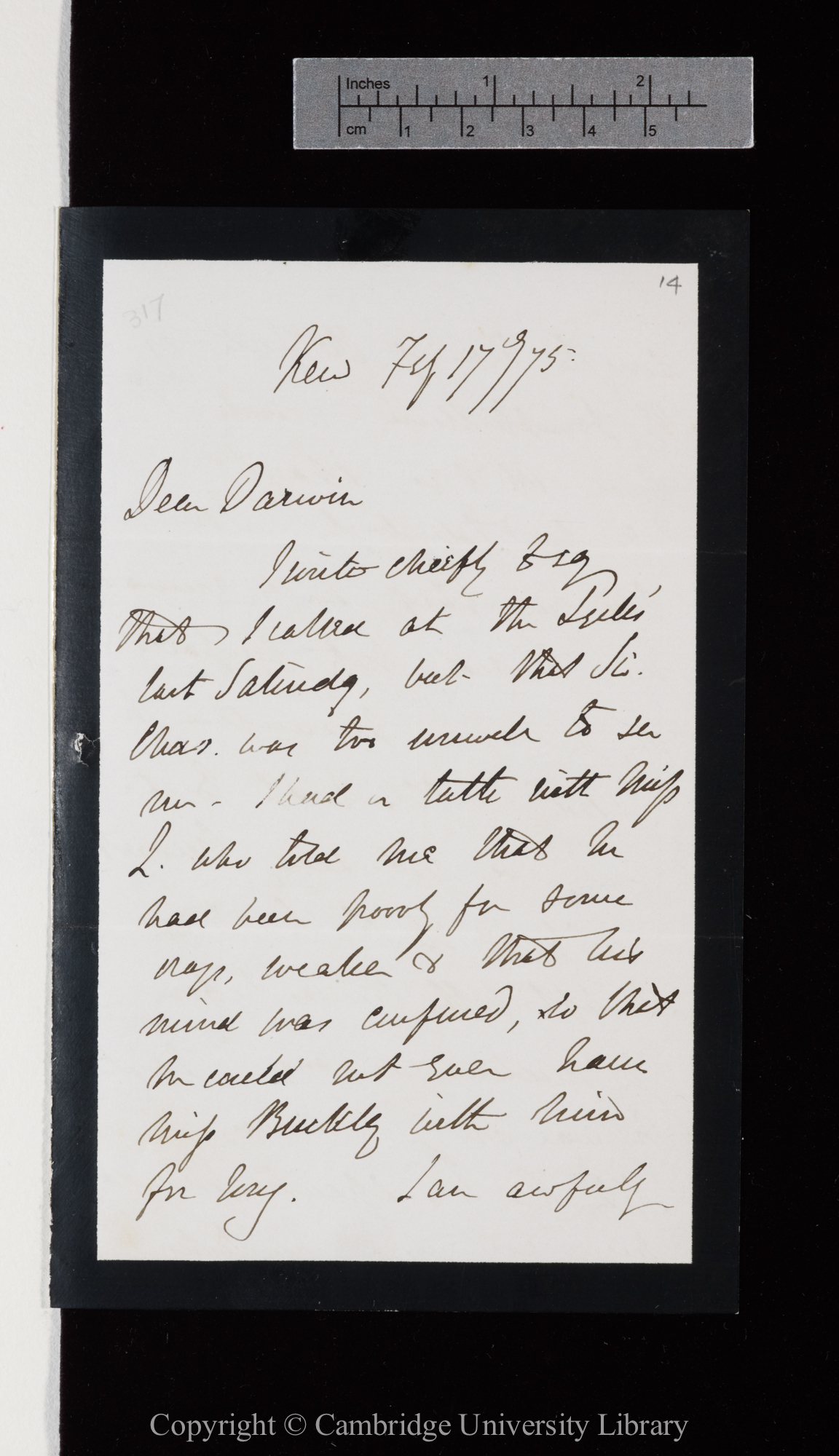 Letter from J. D. Hooker to C. R. Darwin   17 February 1875
