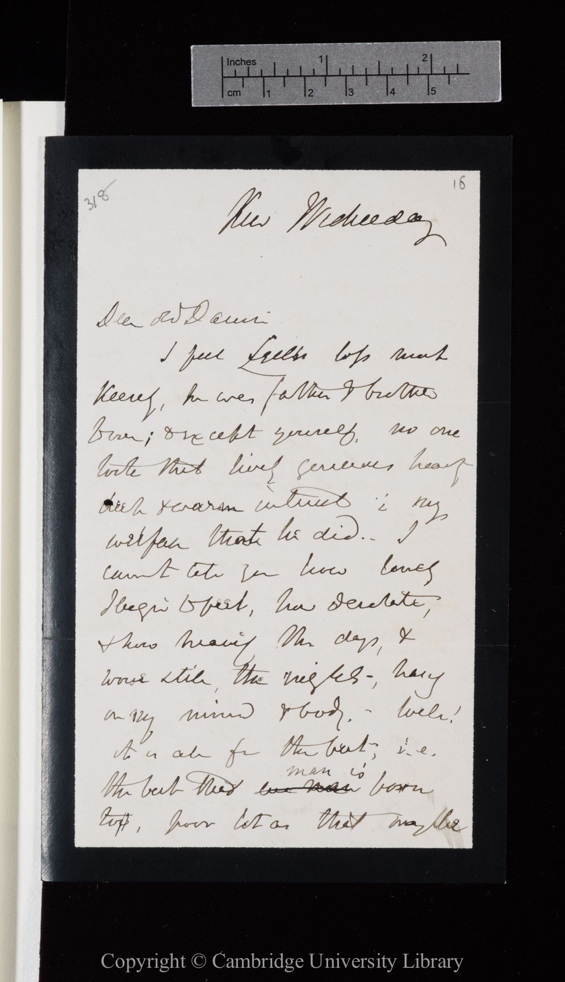 Letter from J. D. Hooker to C. R. Darwin   [24 February 1875]