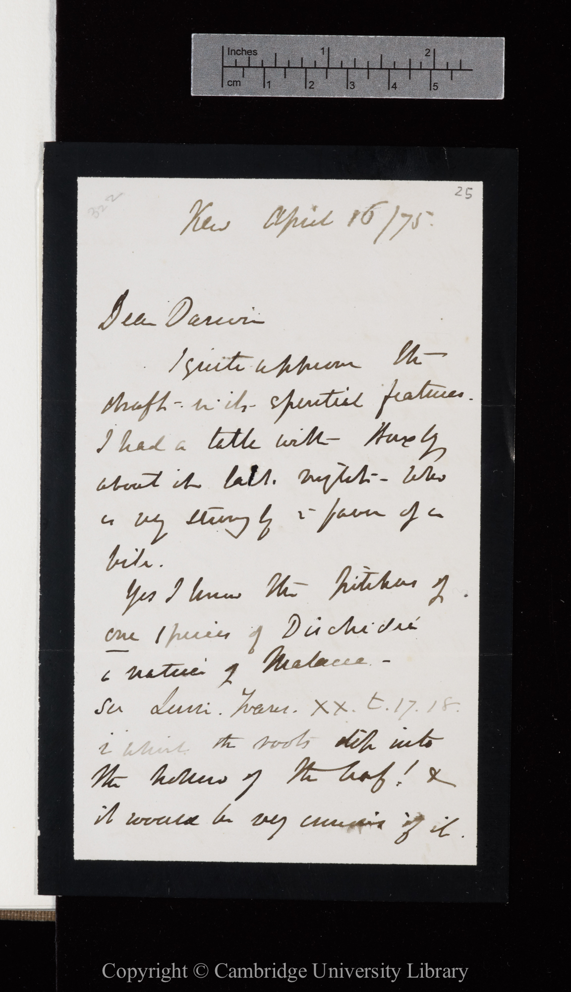 Letter from J. D. Hooker to C. R. Darwin   16 April 1875