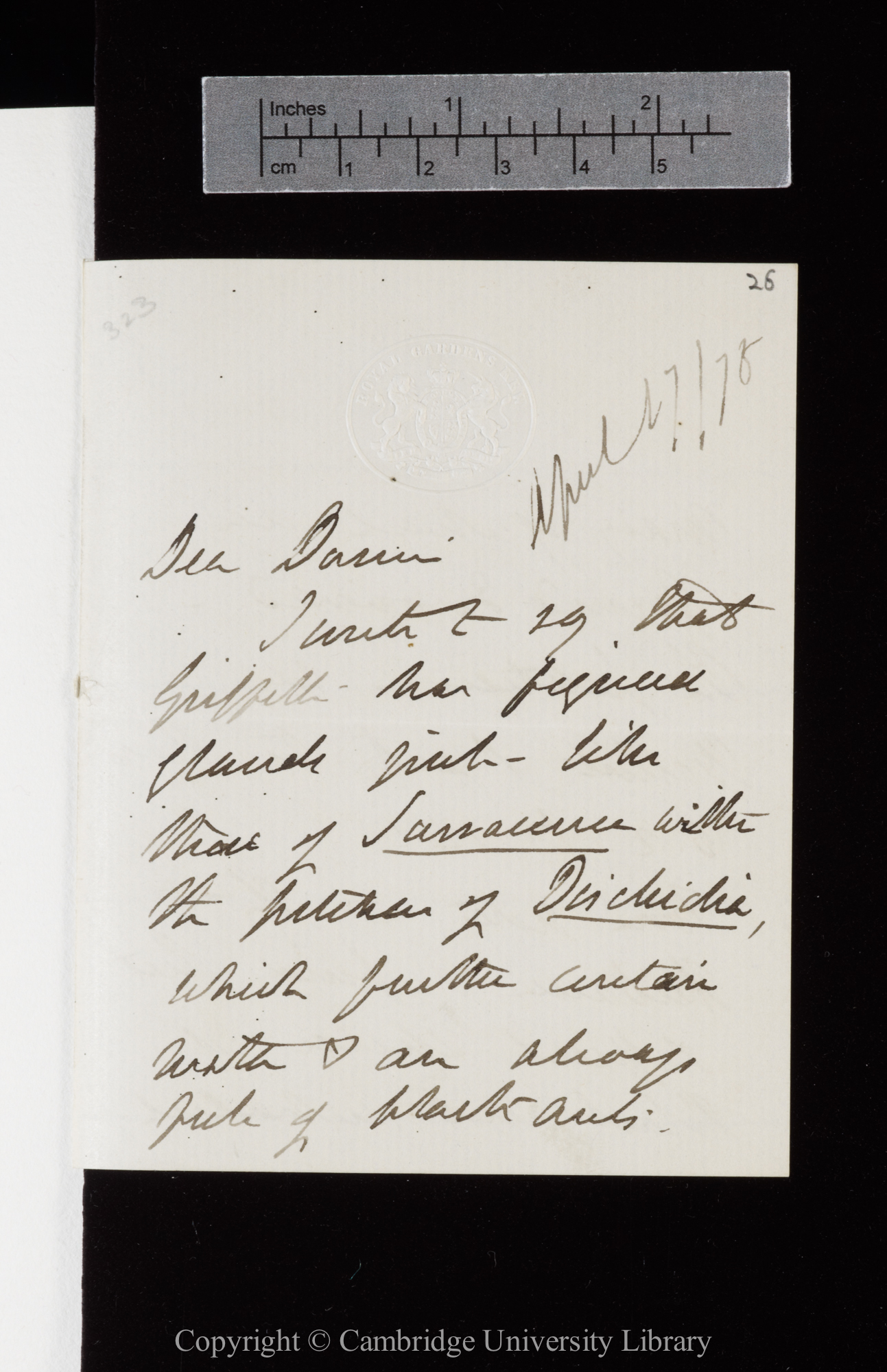 Letter from J. D. Hooker to C. R. Darwin   17 April 1875