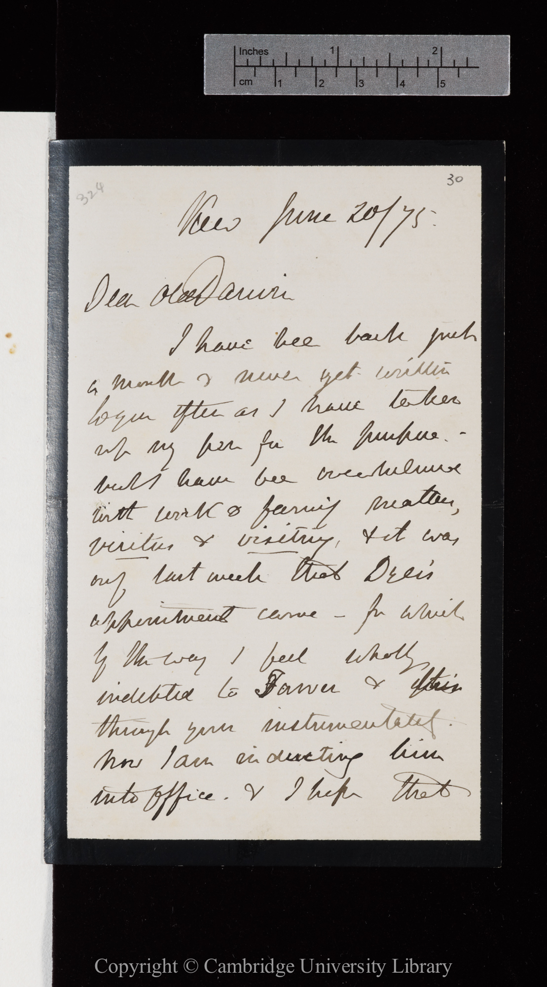 Letter from J. D. Hooker to C. R. Darwin   20 June 1875