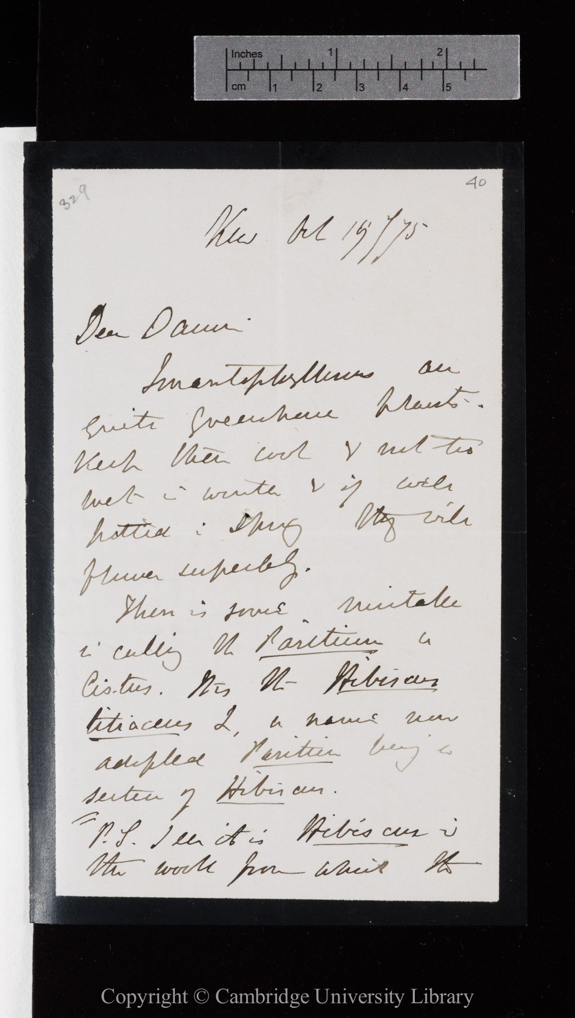 Letter from J. D. Hooker to C. R. Darwin   19 October 1875