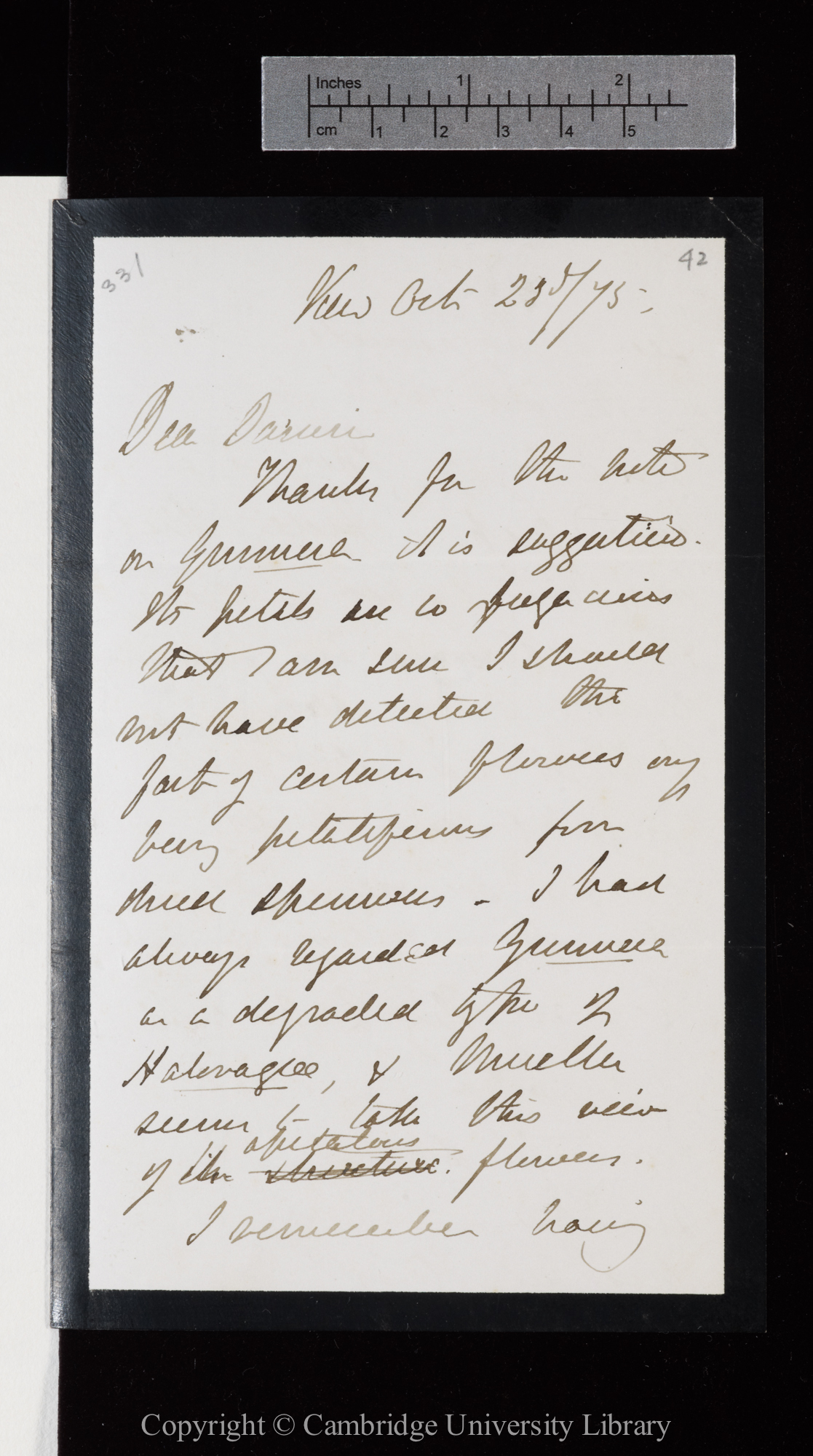Letter from J. D. Hooker to C. R. Darwin   23 October 1875