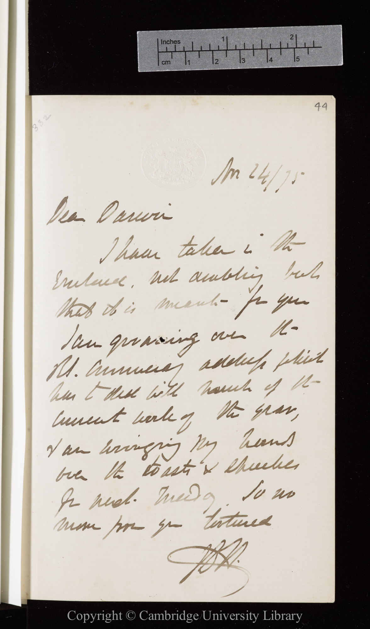 Letter from J. D. Hooker to C. R. Darwin   24 November 1875