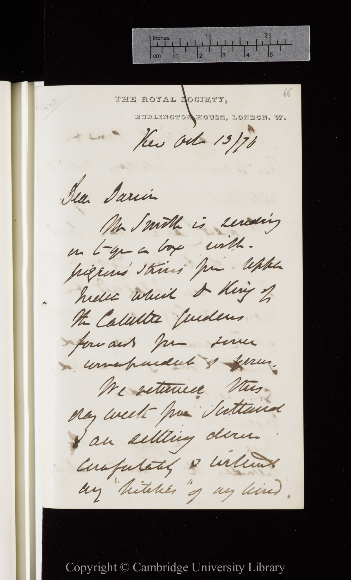 Letter from J. D. Hooker to C. R. Darwin   13 October 1876