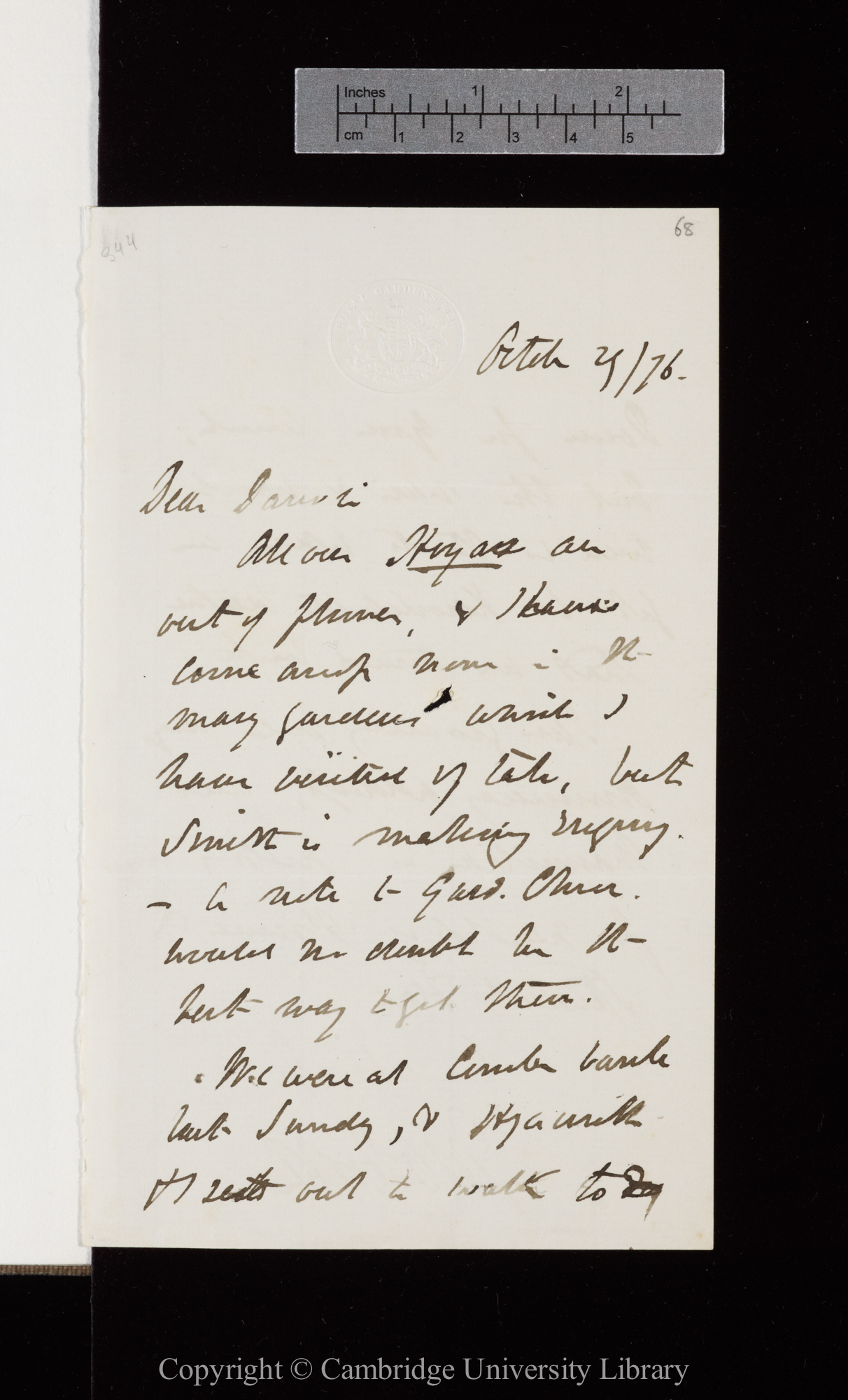 Letter from J. D. Hooker to C. R. Darwin   29 October 1876