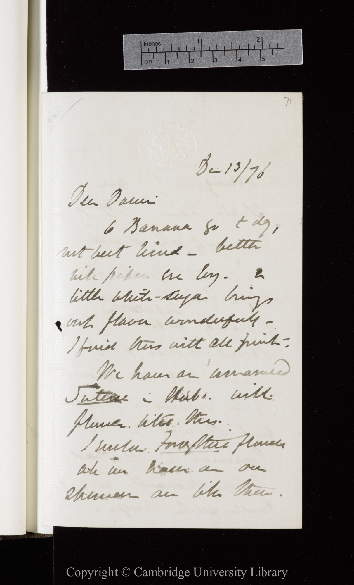Letter from J. D. Hooker to C. R. Darwin   13 December 1876