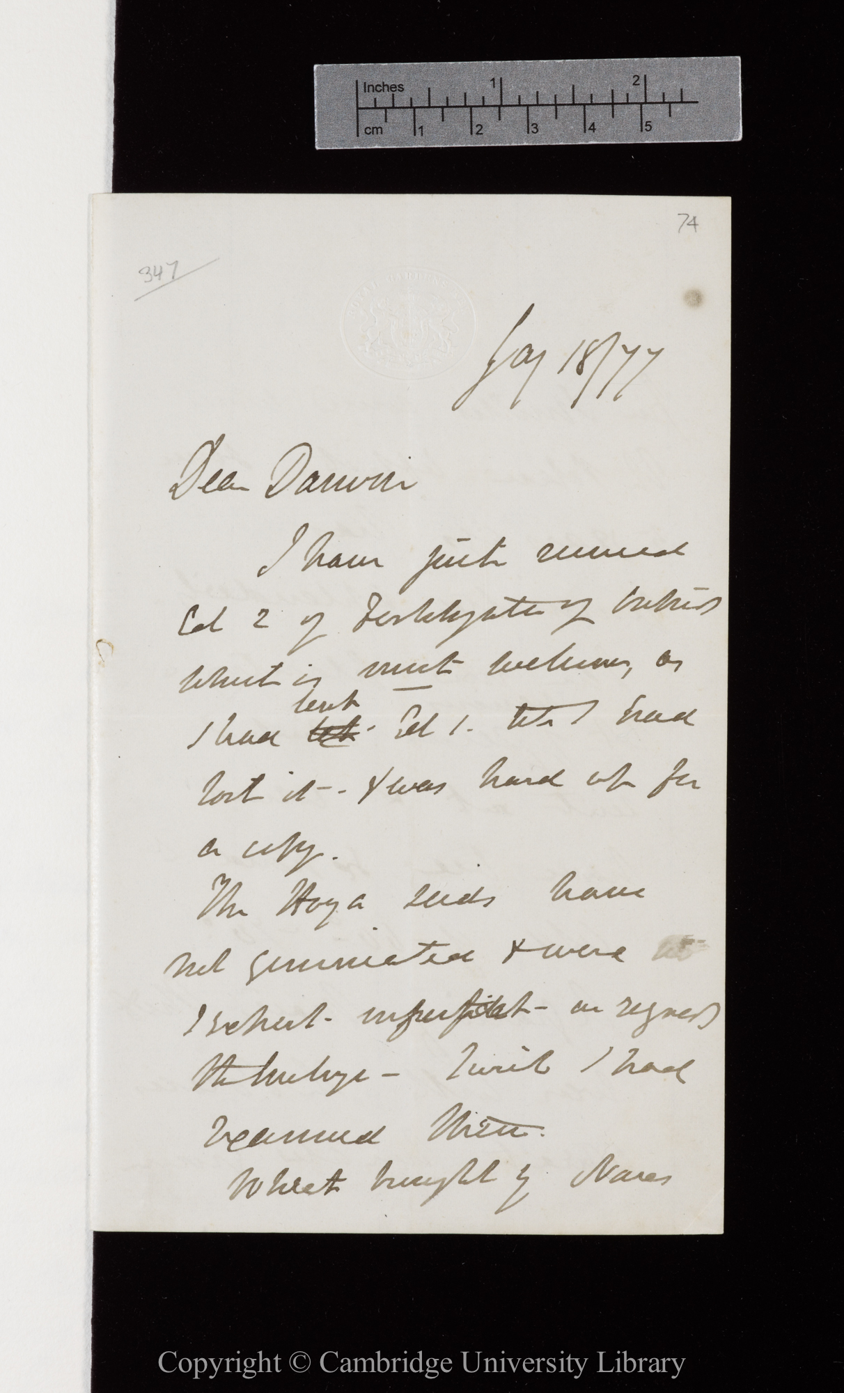 Letter from J. D. Hooker to C. R. Darwin   18 January 1877